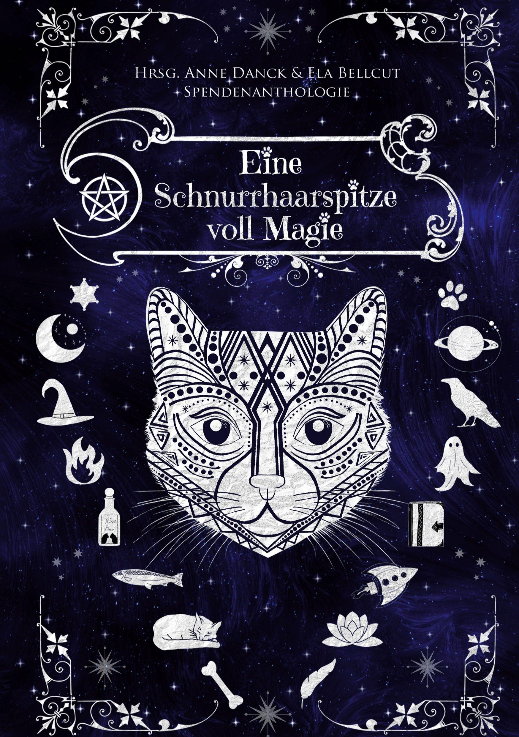 Vorderes Coverbild Eine Schnurrhaarspitze voll Magie