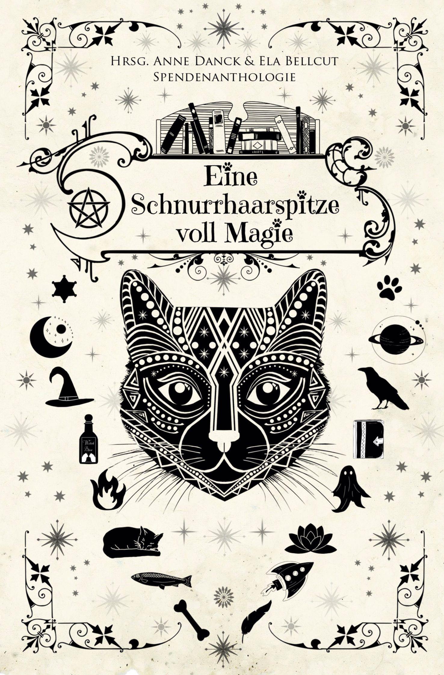 Vorderes Coverbild Eine Schnurrhaarspitze voll Magie