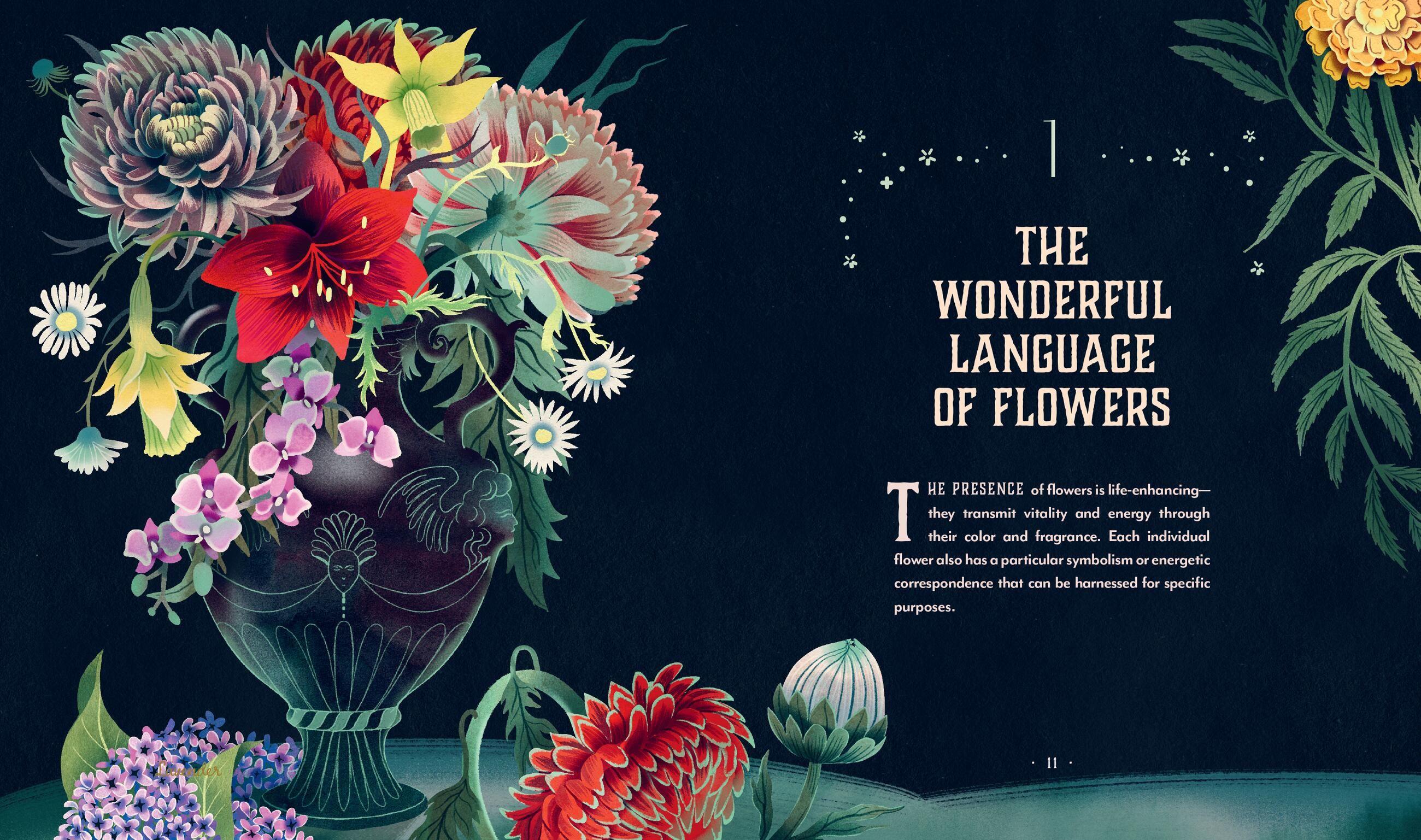 Beispielinhalt (Bild) Plant Magic