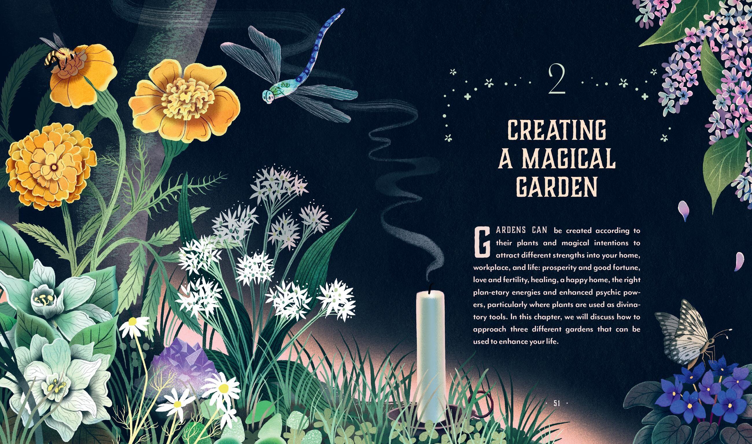 Beispielinhalt (Bild) Plant Magic