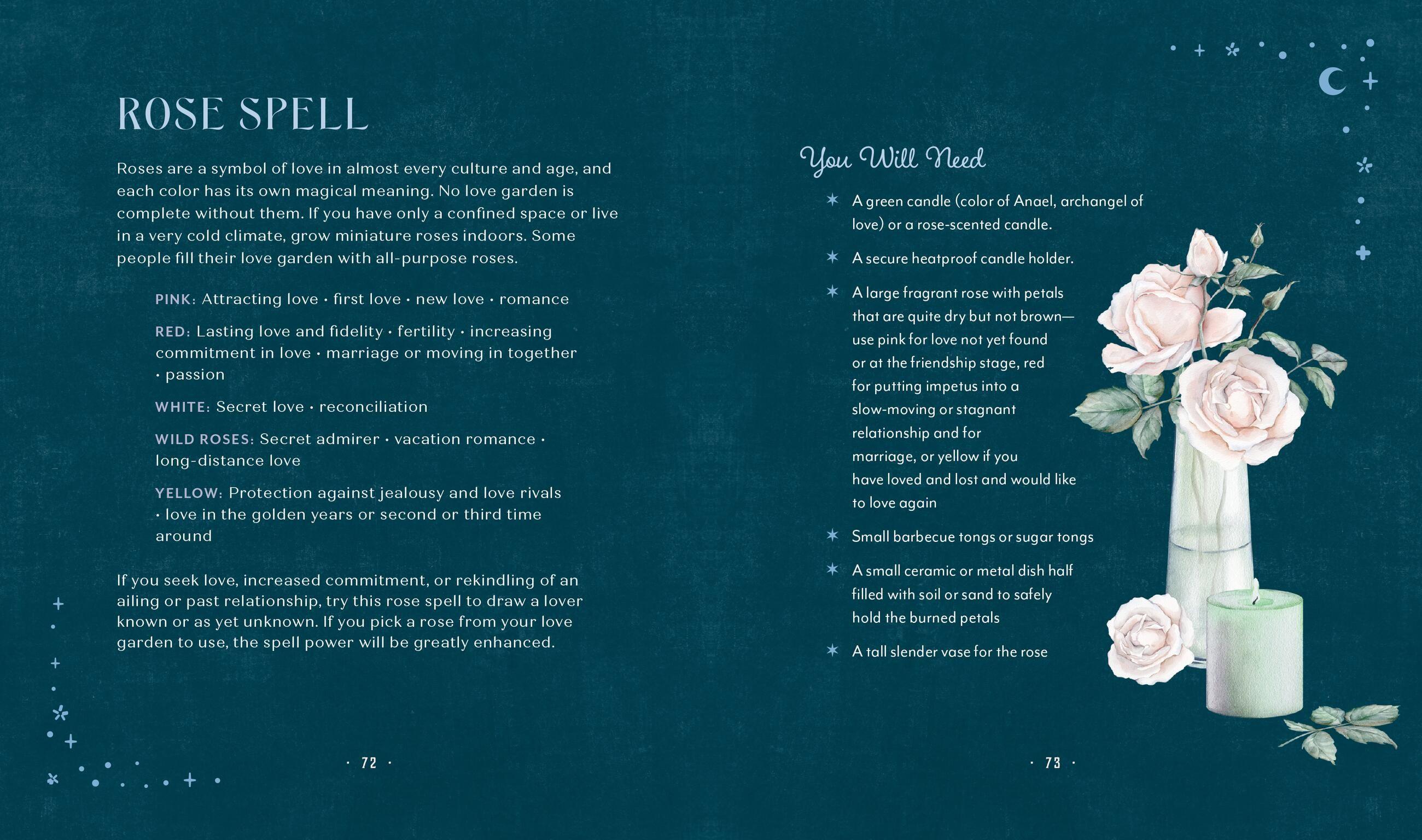 Beispielinhalt (Bild) Plant Magic