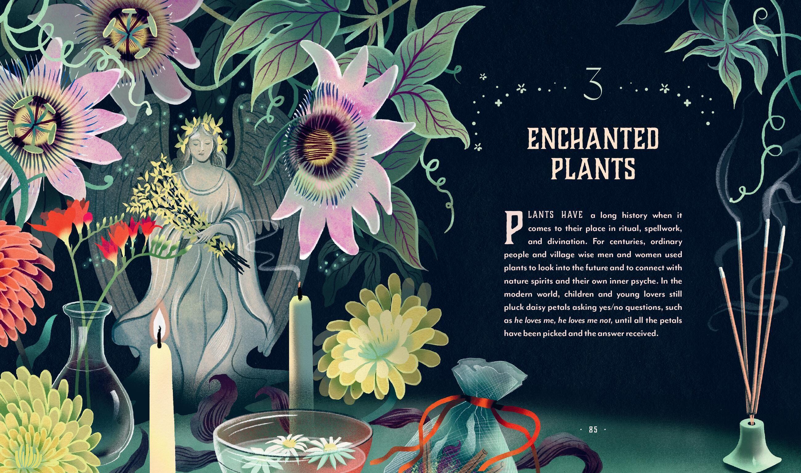 Beispielinhalt (Bild) Plant Magic