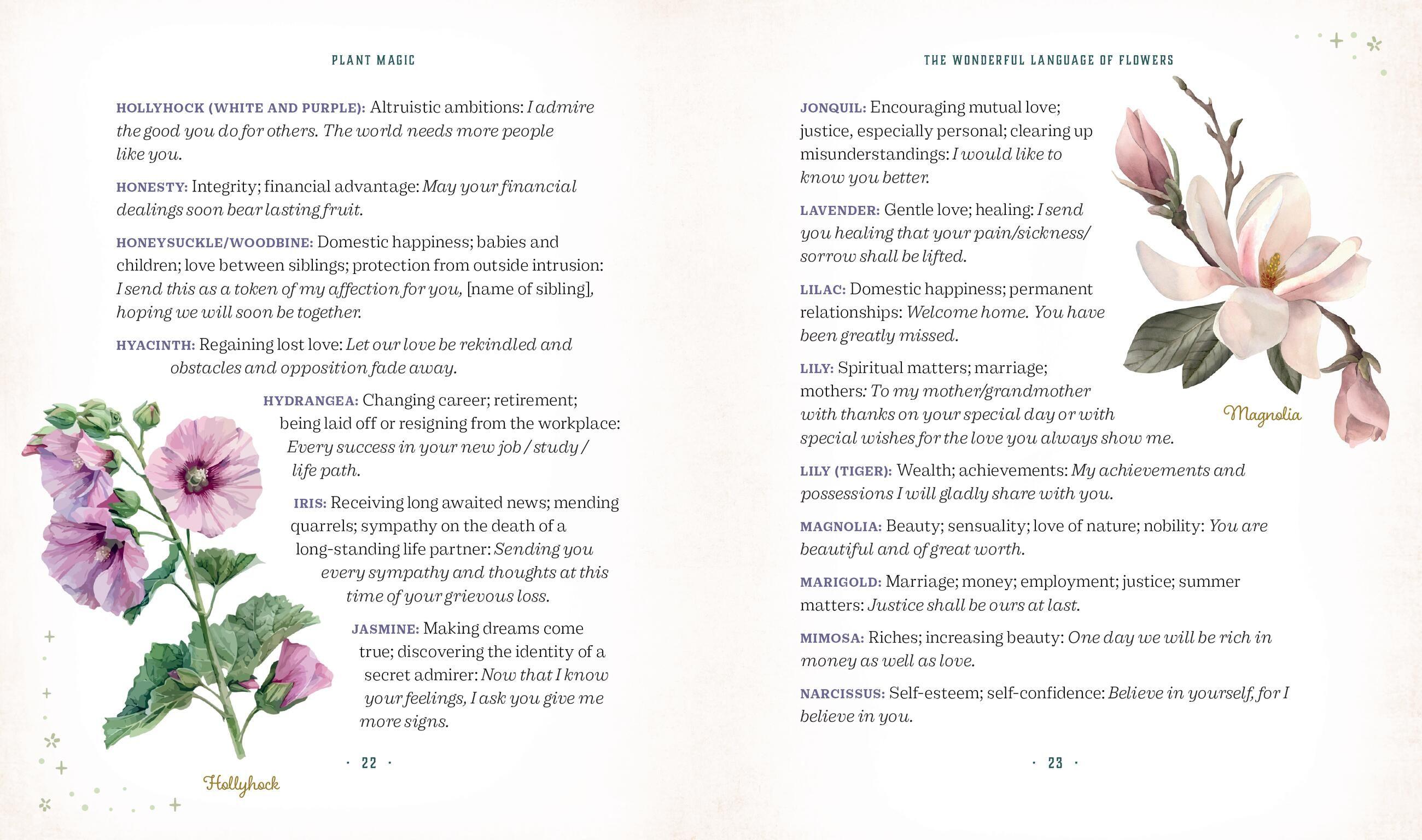 Beispielinhalt (Bild) Plant Magic