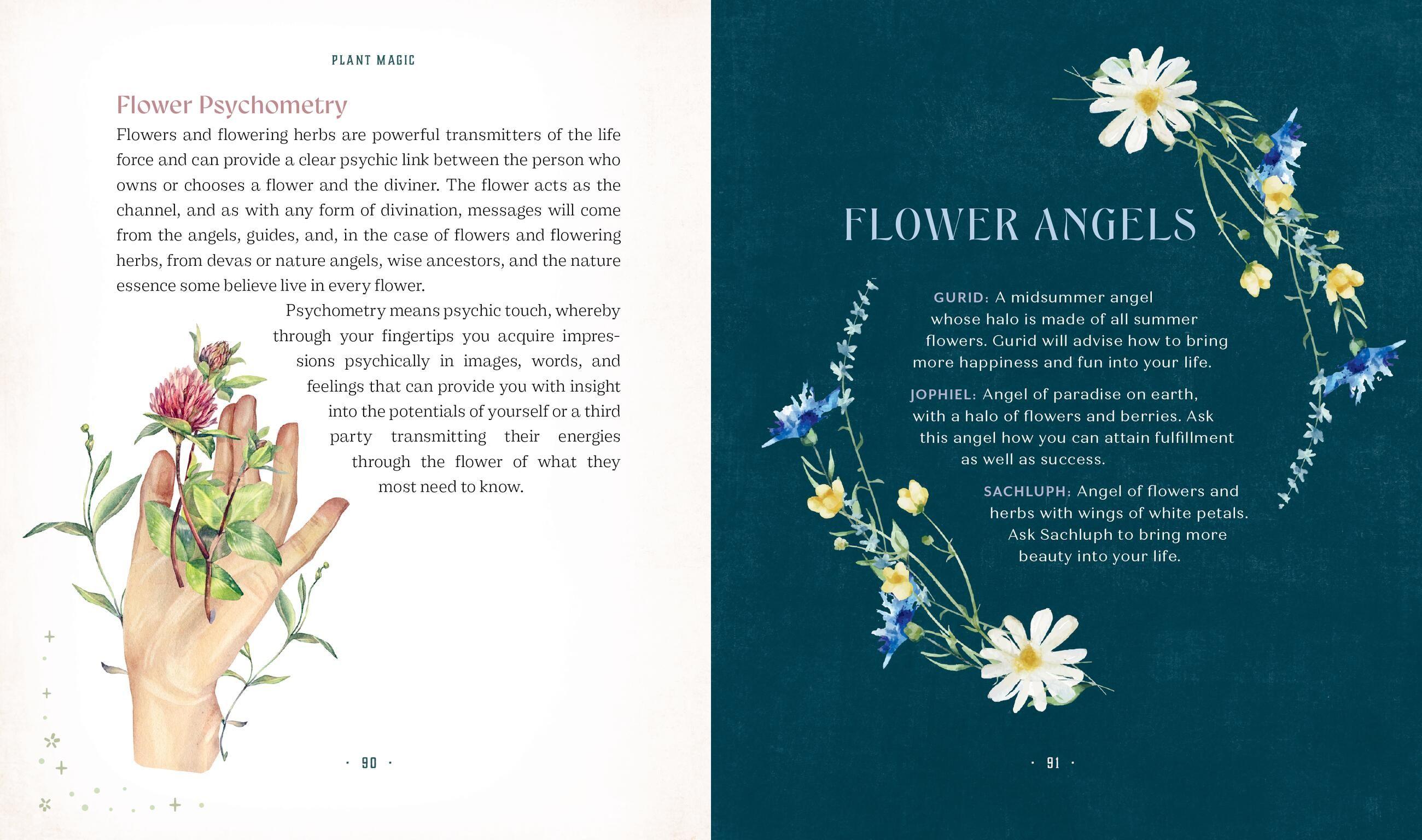 Beispielinhalt (Bild) Plant Magic