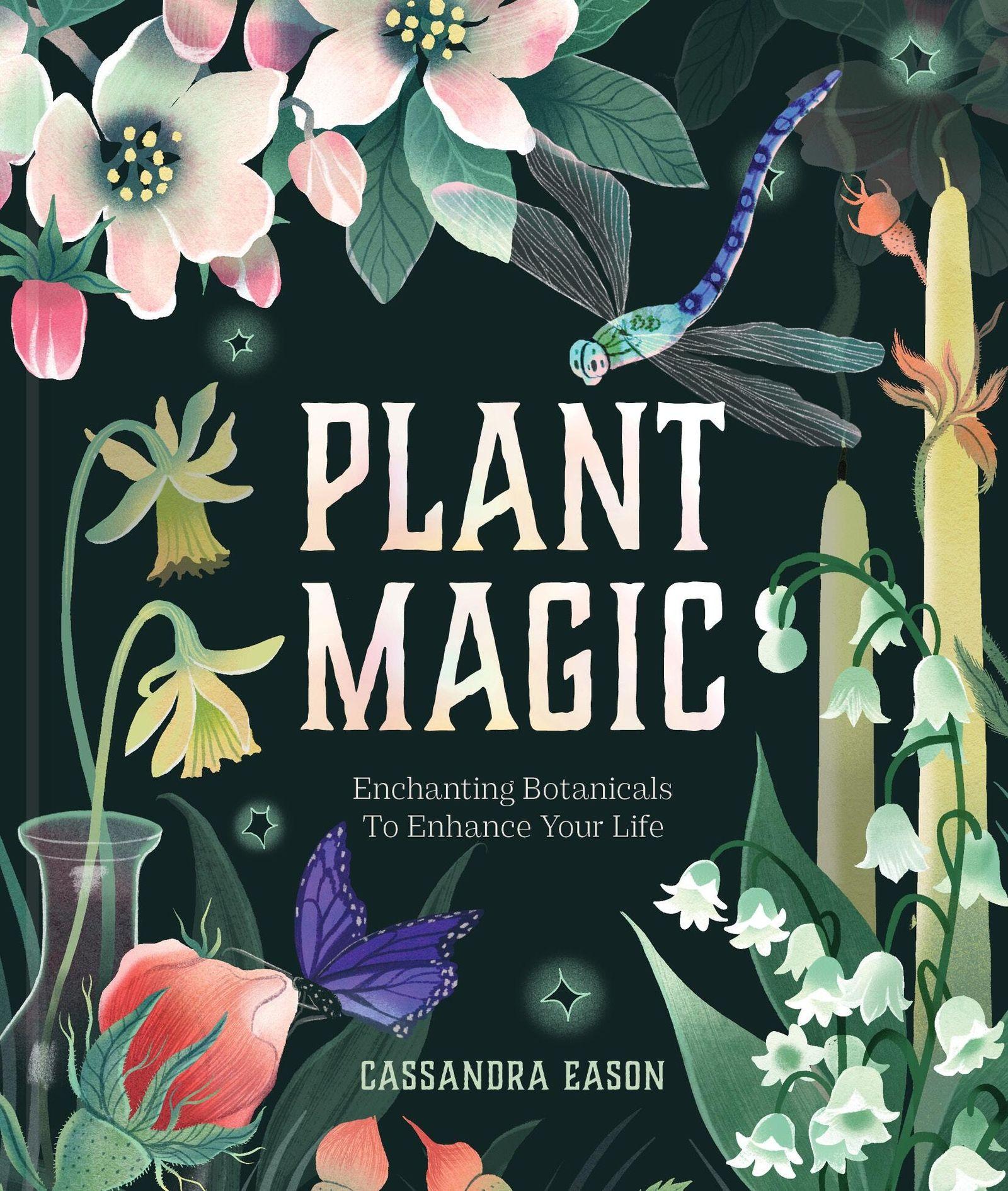 Vorderes Coverbild Plant Magic