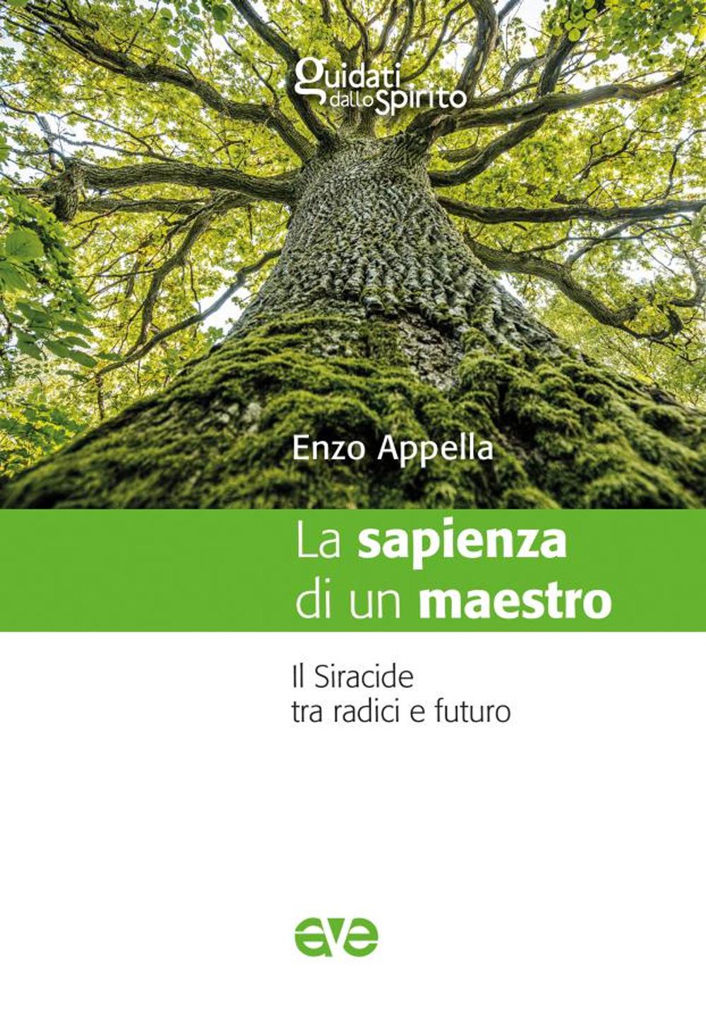 Vorderes Coverbild La sapienza di un maestro. Il Siracide tra radici e futuro