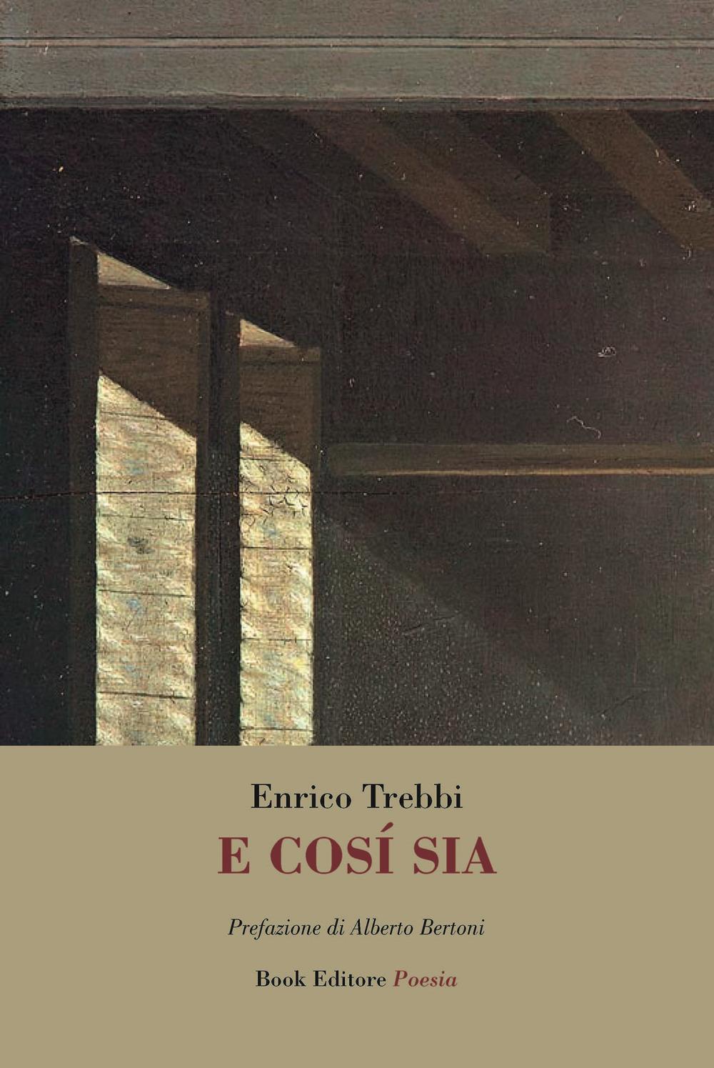 Vorderes Coverbild E così sia