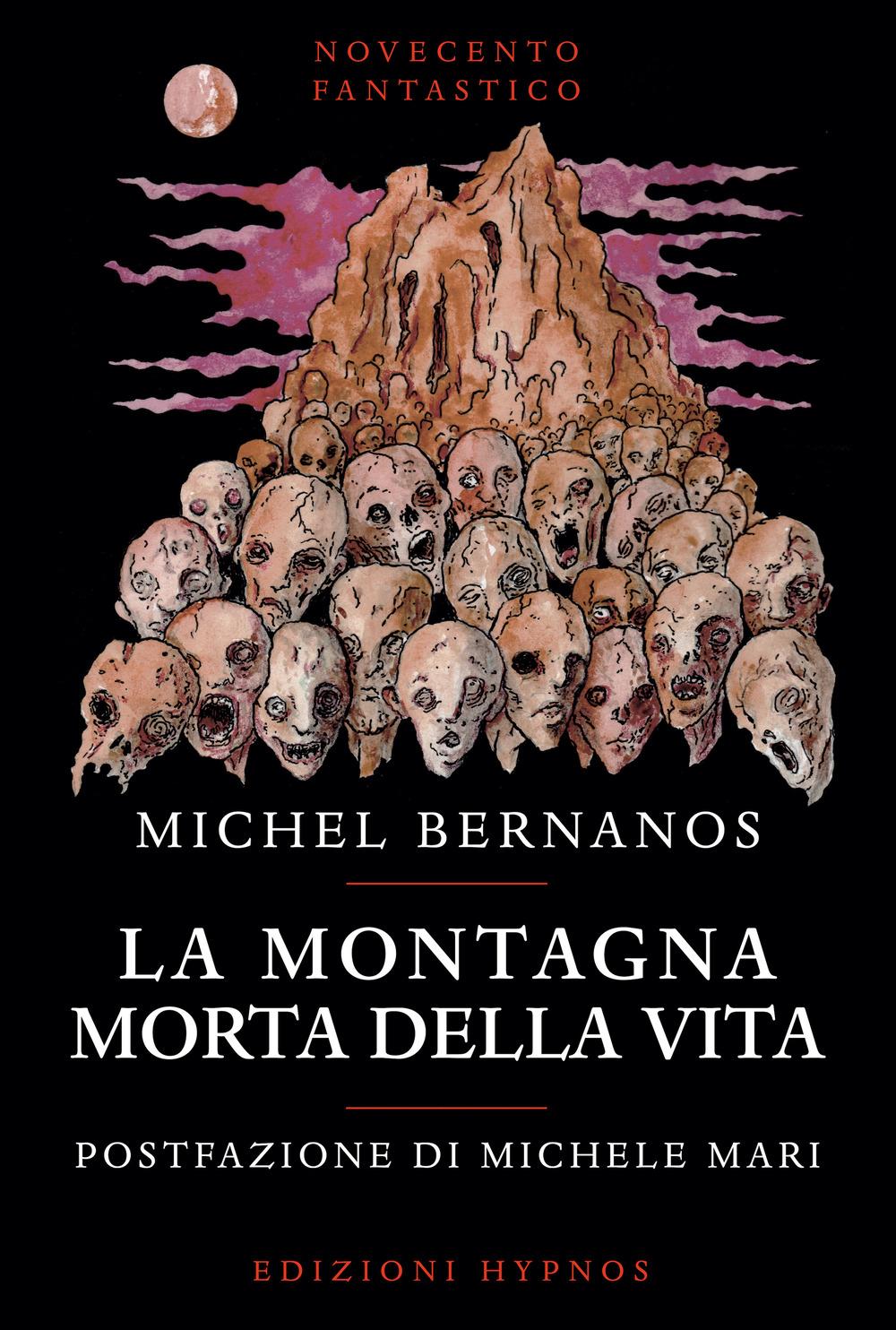 Vorderes Coverbild La montagna morta della vita