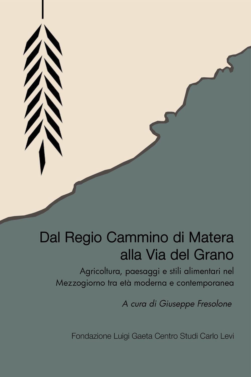 Vorderes Coverbild Dal Regio Cammino alla Via del Grano
