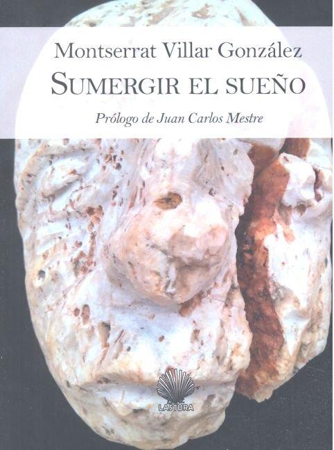 Vorderes Coverbild Sumergir el sueño / sulagar o soño