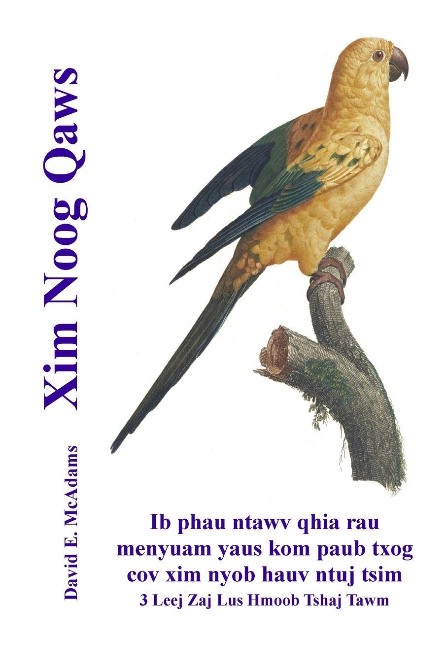 Vorderes Coverbild Xim Noog Qaws