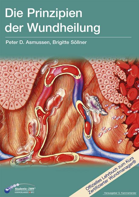 Vorderes Coverbild Die Prinzipien der Wundheilung