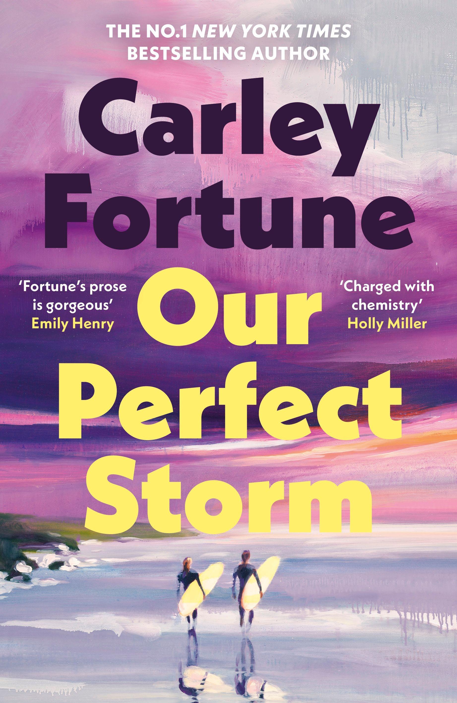 Vorderes Coverbild Our Perfect Storm