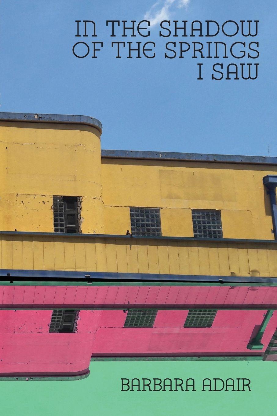 Vorderes Coverbild In the Shadow of the Springs I Saw