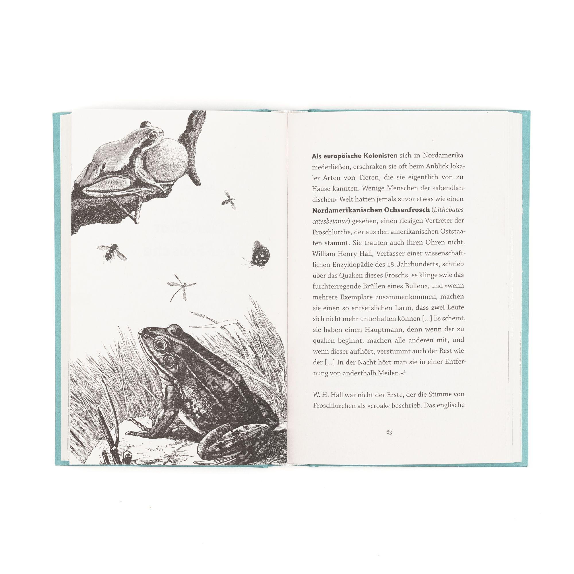 Beispielinhalt (Bild) Frösche. Meister der Anpassung