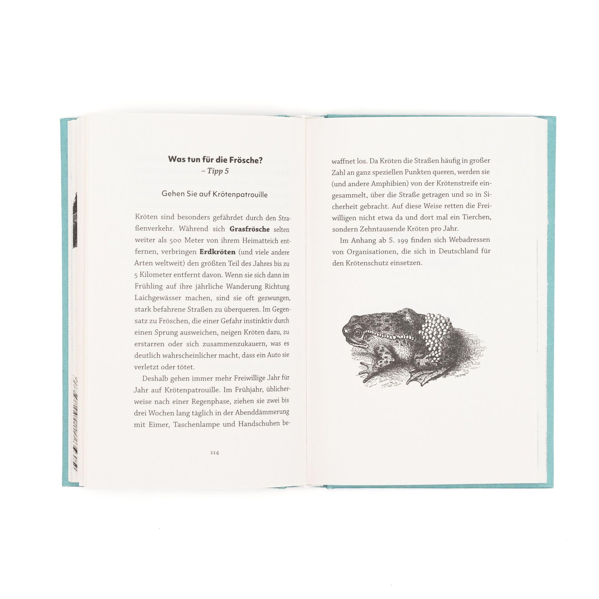 Beispielinhalt (Bild) Frösche. Meister der Anpassung