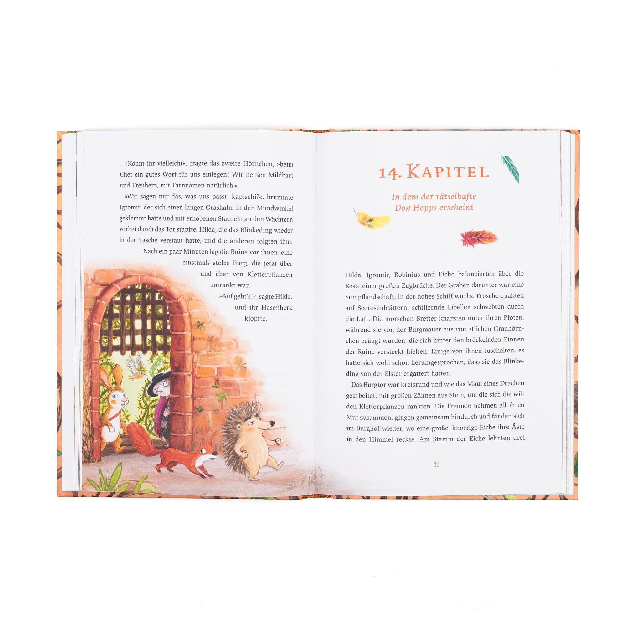 Beispielinhalt (Bild) Hilda Hasenherz. Das Abenteuer am Drachenfels