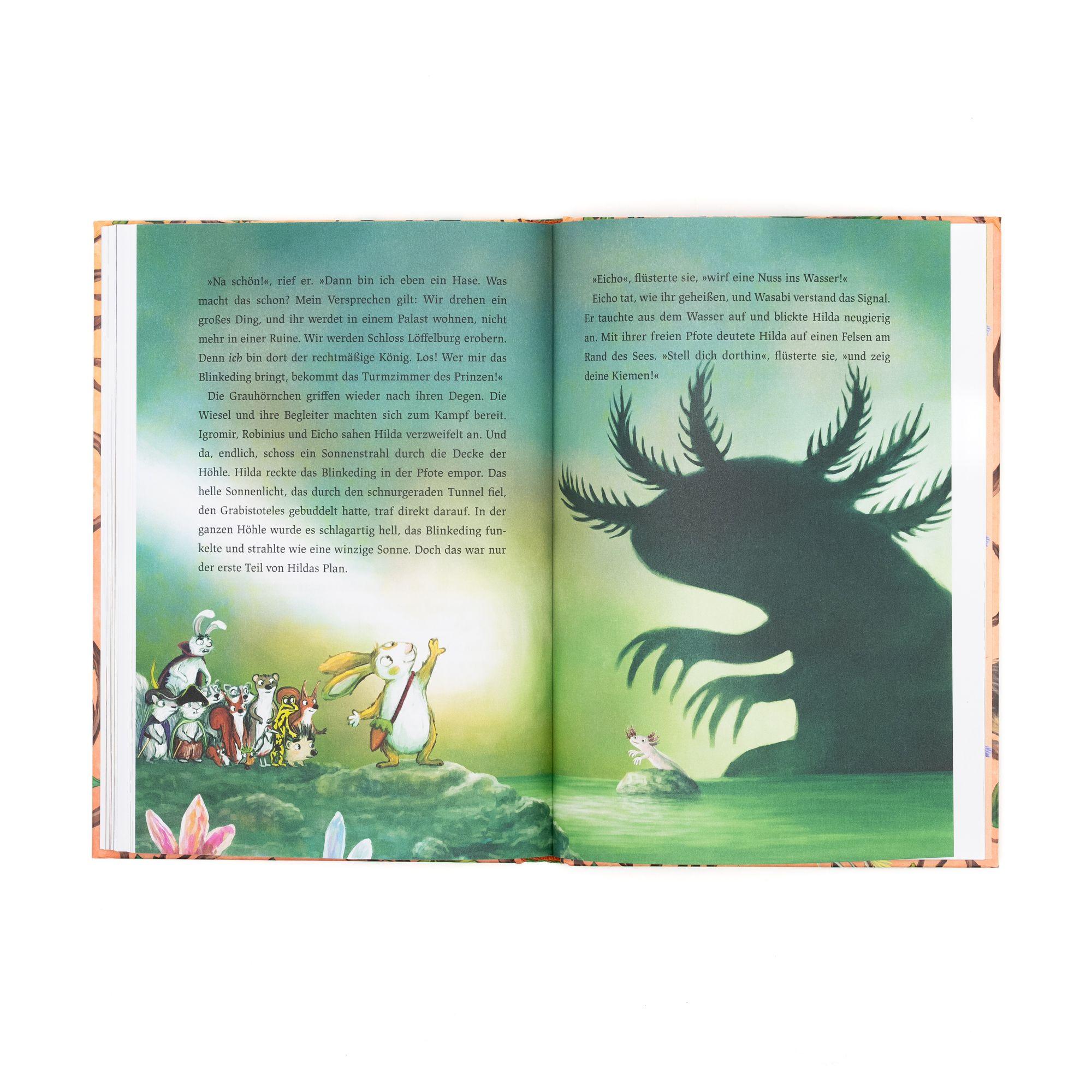 Beispielinhalt (Bild) Hilda Hasenherz. Das Abenteuer am Drachenfels