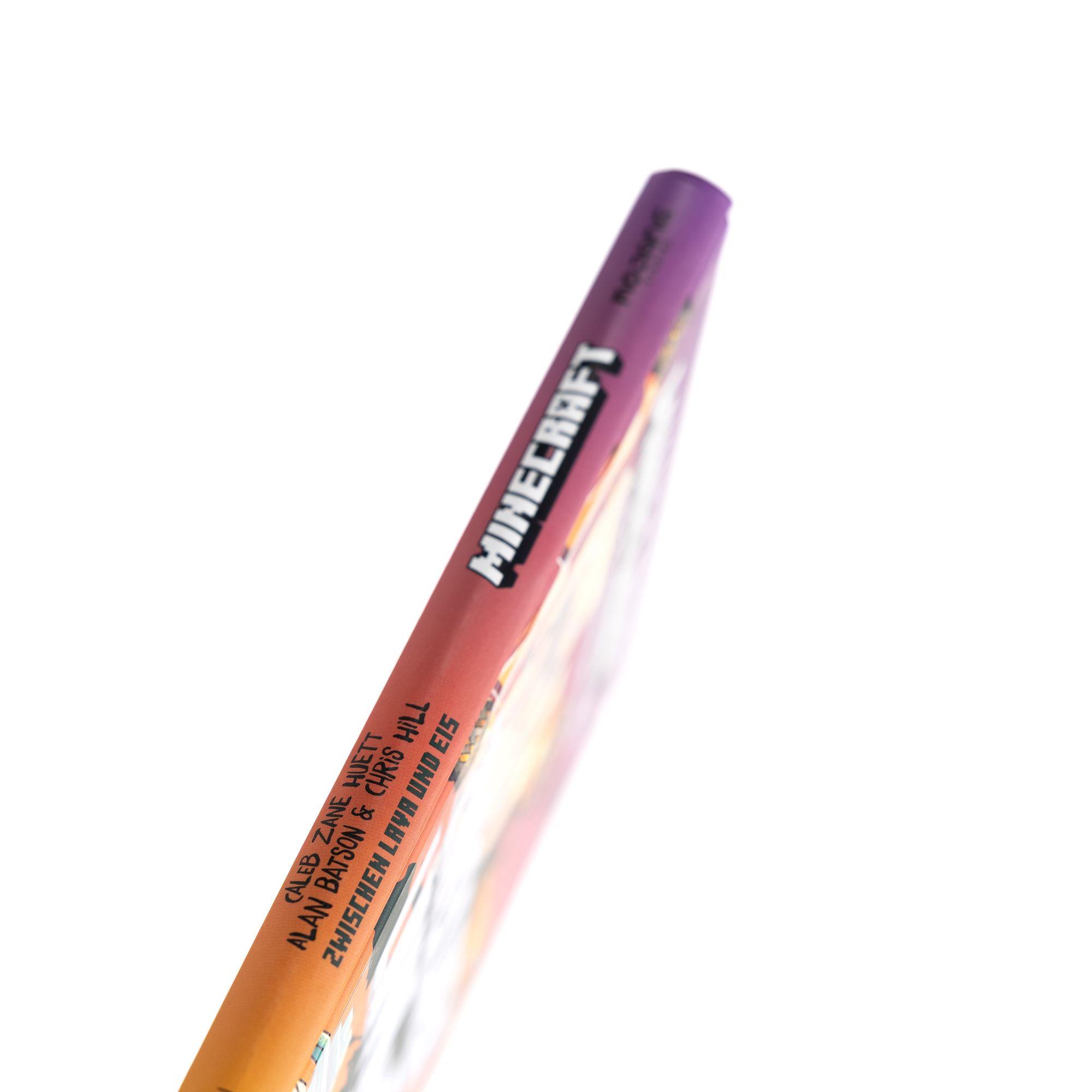 Beispielinhalt (Bild) Minecraft Erste Leseabenteuer. Zwischen Lava und Eis