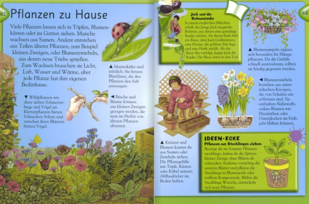 Beispielinhalt (Bild) Das große Kinderlexikon Grundschulwissen