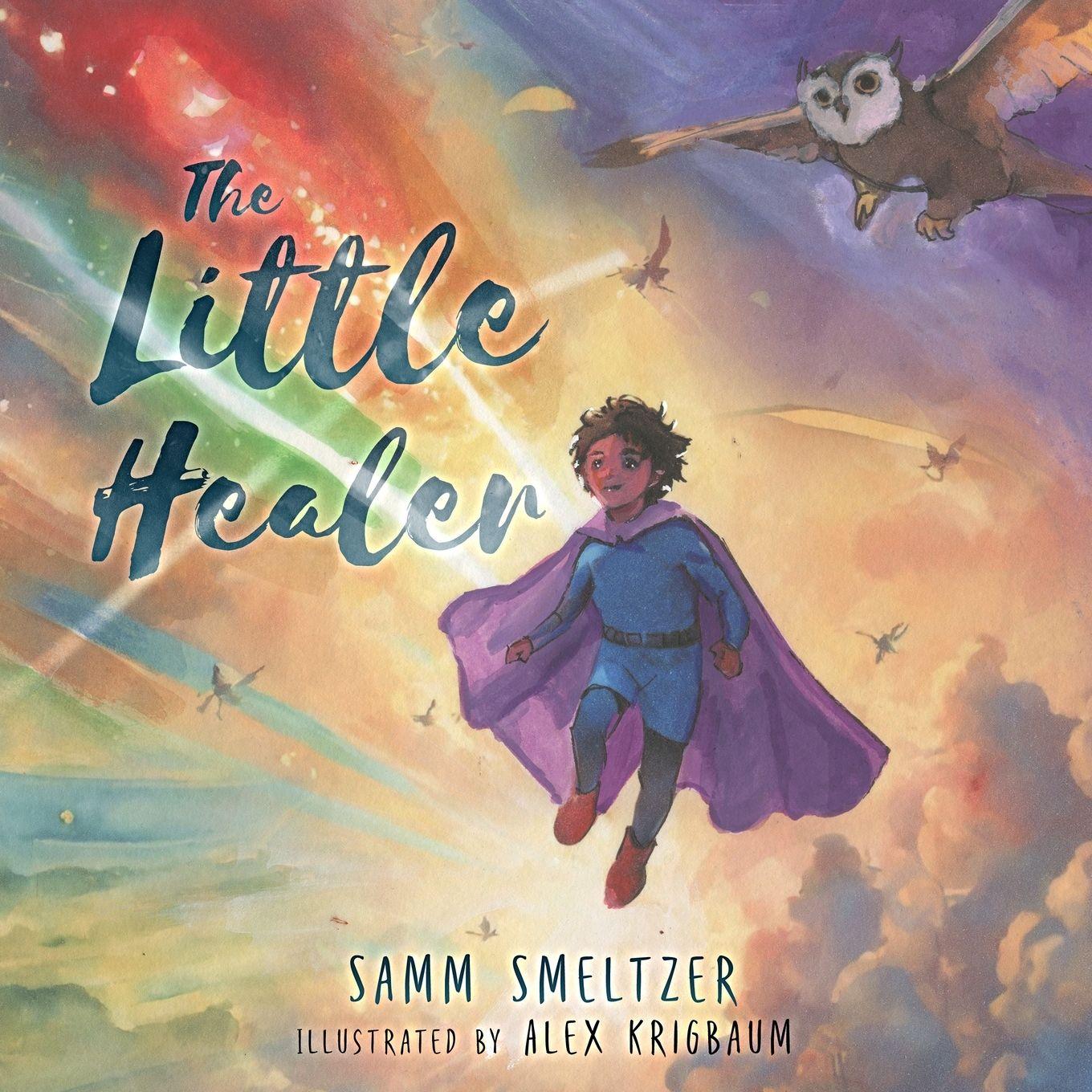 Vorderes Coverbild The Little Healer
