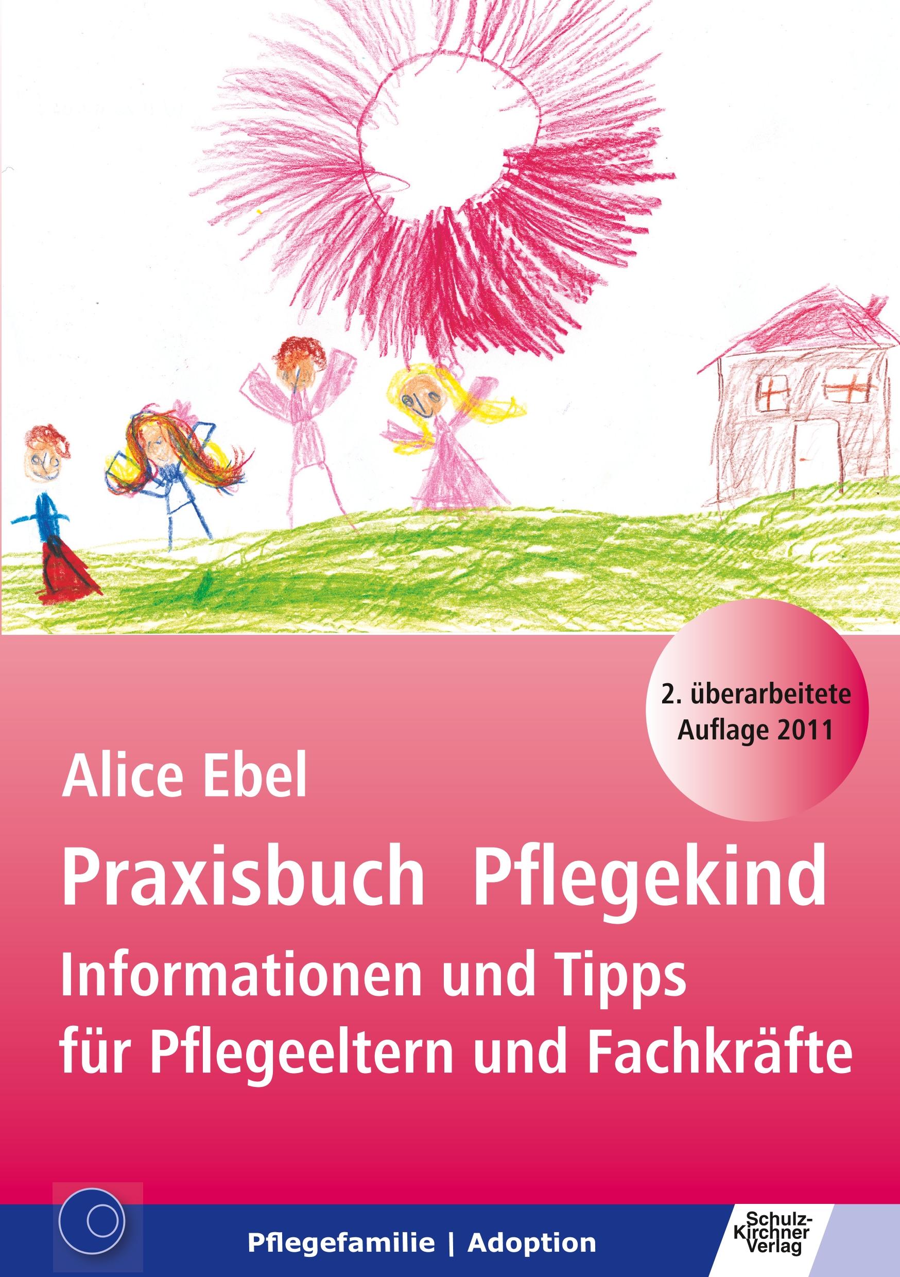 Vorderes Coverbild Praxisbuch Pflegekind