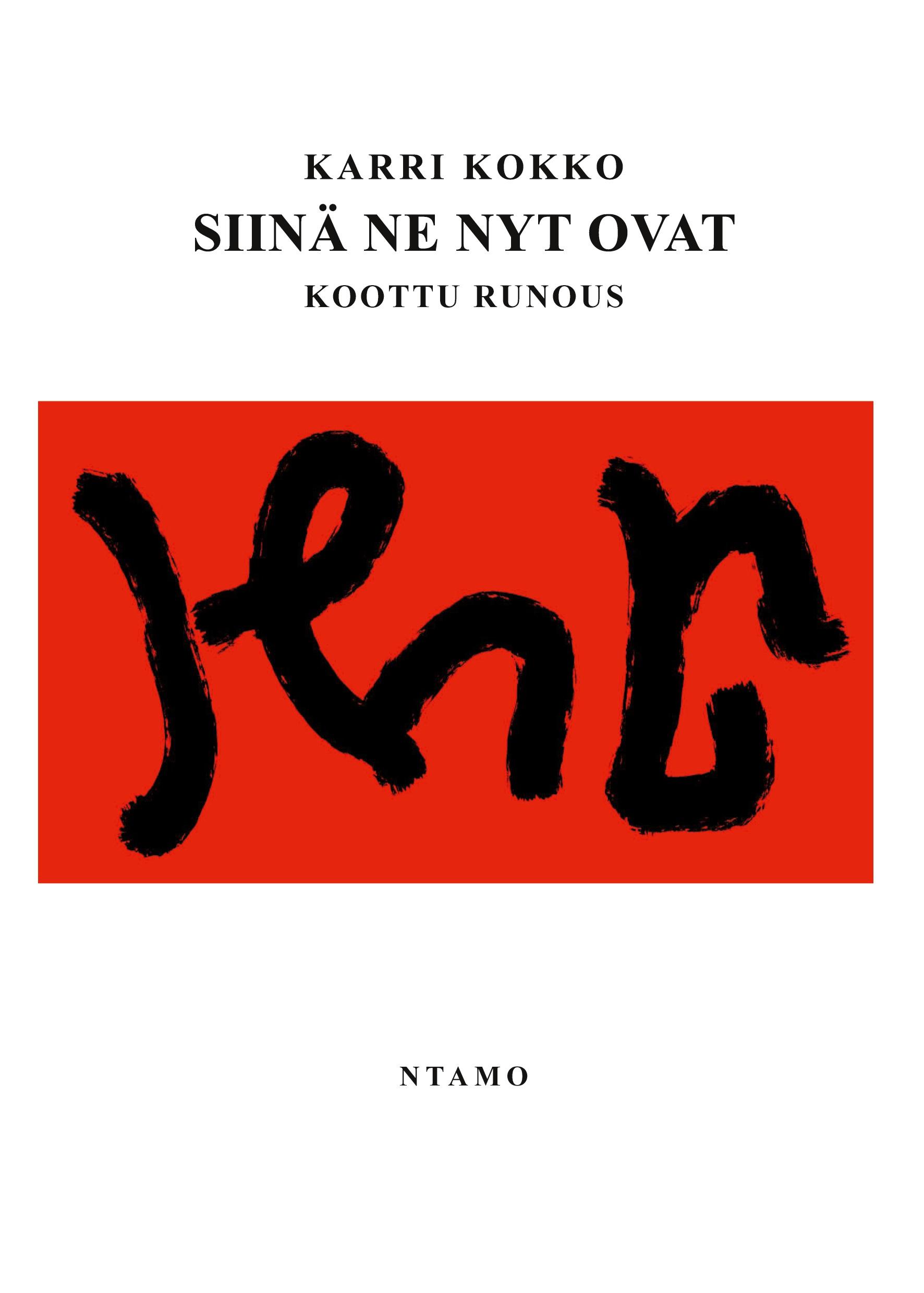 Vorderes Coverbild SIINÄ NE NYT OVAT