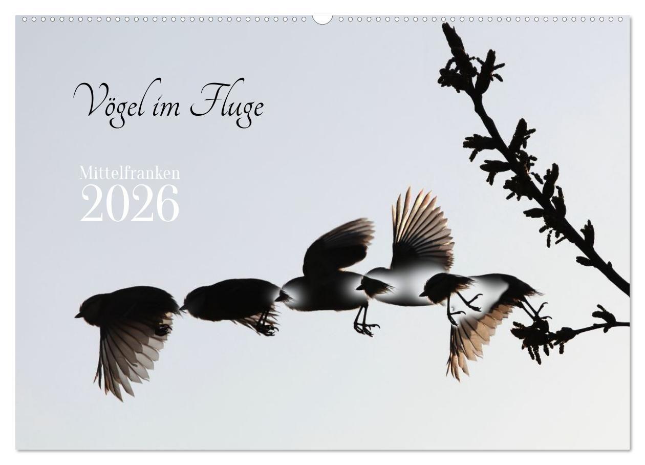Vorderes Coverbild Vögel im Fluge (Wandkalender 2026 DIN A2 quer), CALVENDO Monatskalender