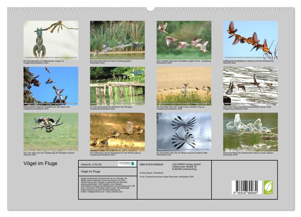 Beispielinhalt (Bild) Vögel im Fluge (hochwertiger Premium Wandkalender 2026 DIN A2 quer), Kunstdruck in Hochglanz
