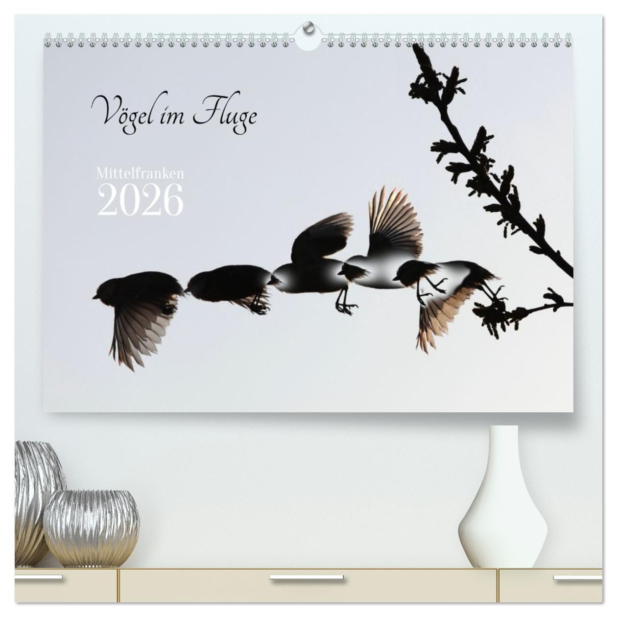 Vorderes Coverbild Vögel im Fluge (hochwertiger Premium Wandkalender 2026 DIN A2 quer), Kunstdruck in Hochglanz