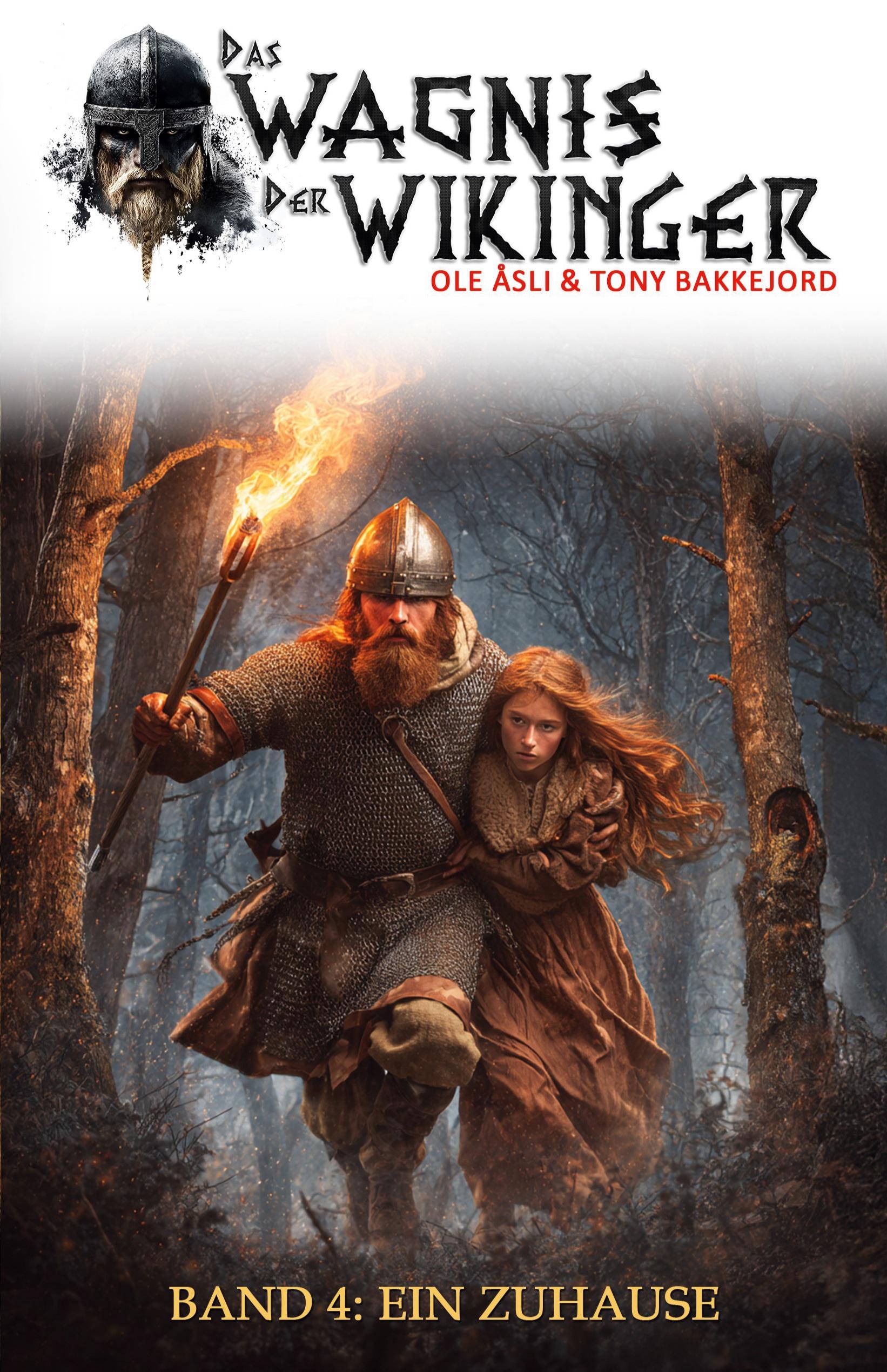 Vorderes Coverbild Das Wagnis der Wikinger - Band 4