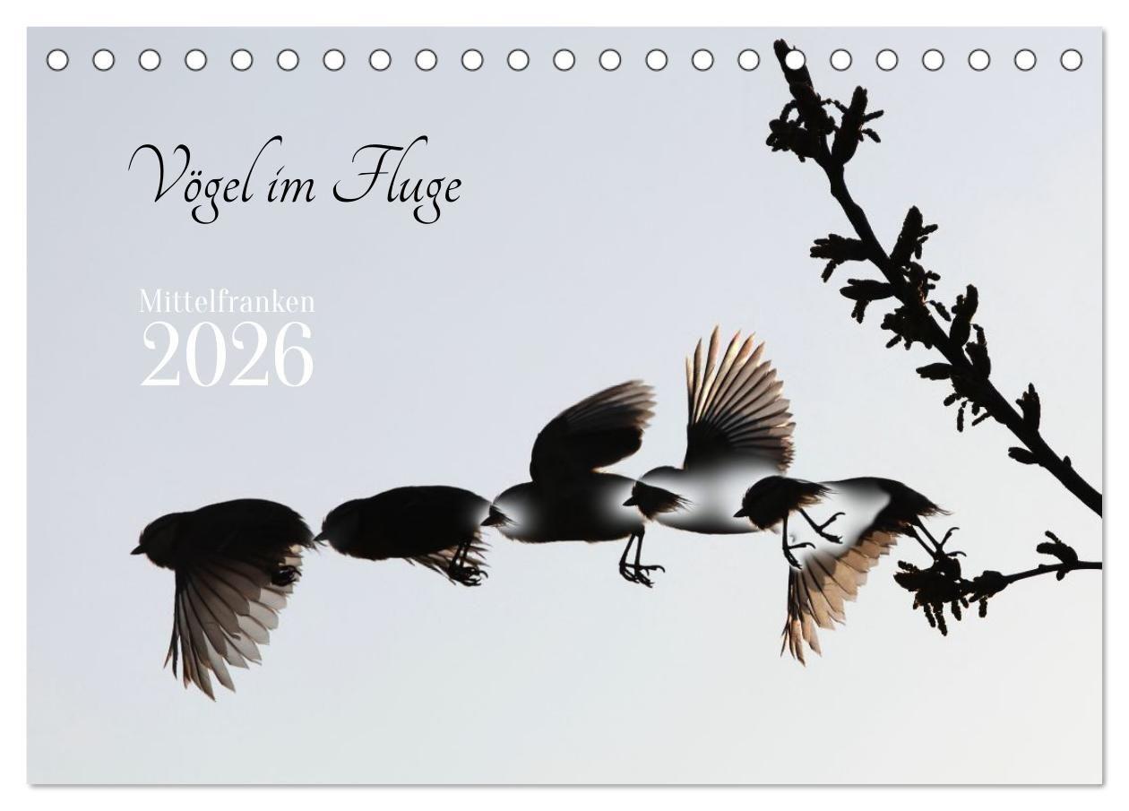 Vorderes Coverbild Vögel im Fluge (Tischkalender 2026 DIN A5 quer), CALVENDO Monatskalender