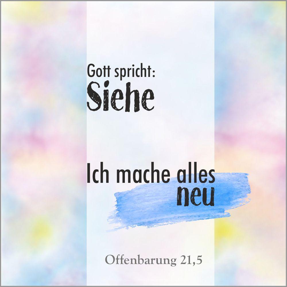 Vorderes Coverbild Gott spricht: Siehe, ich mache alles neu