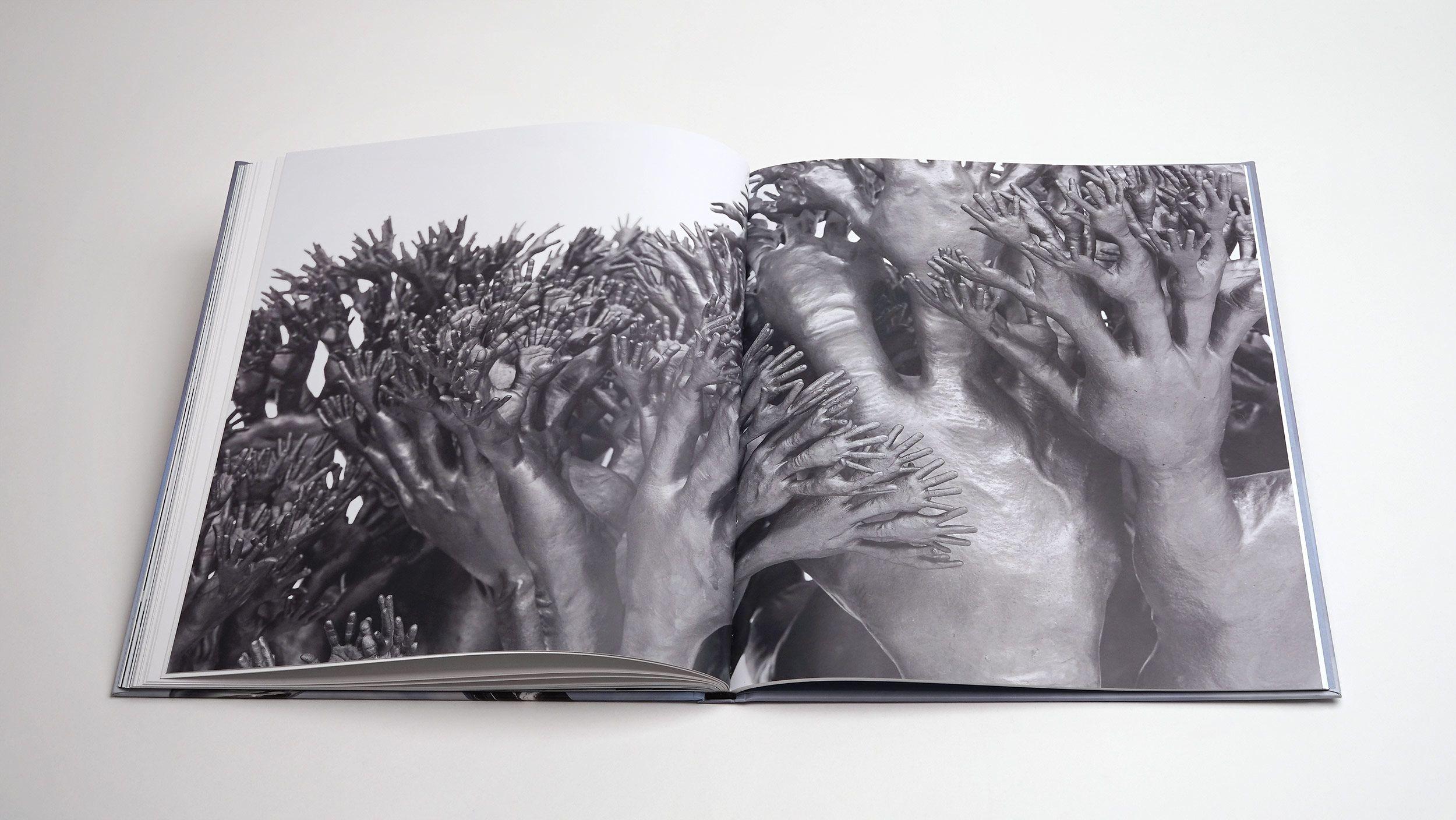 Beispielinhalt (Bild) Tony Cragg: Points of View