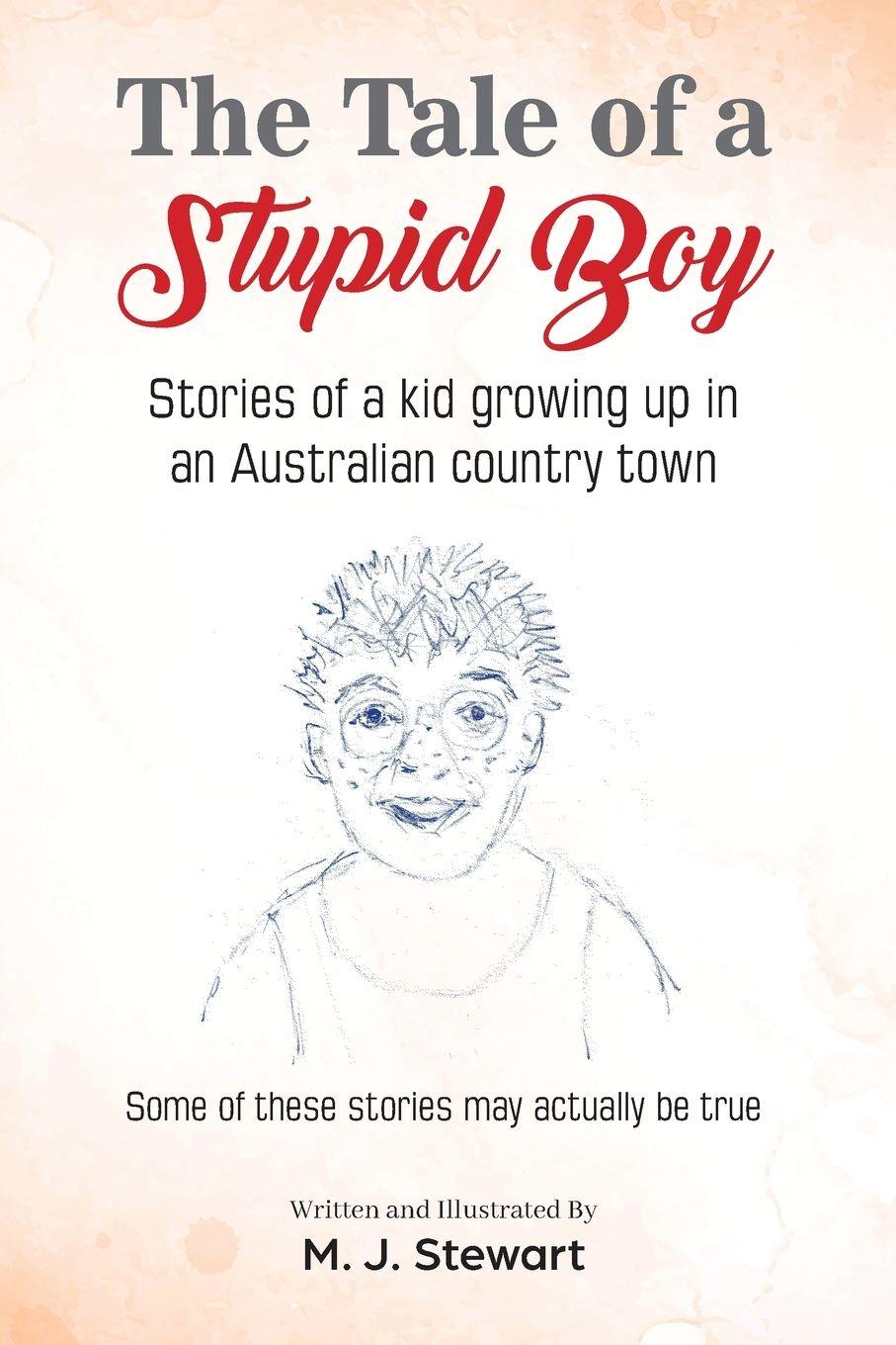 Vorderes Coverbild The Tale of a Stupid Boy