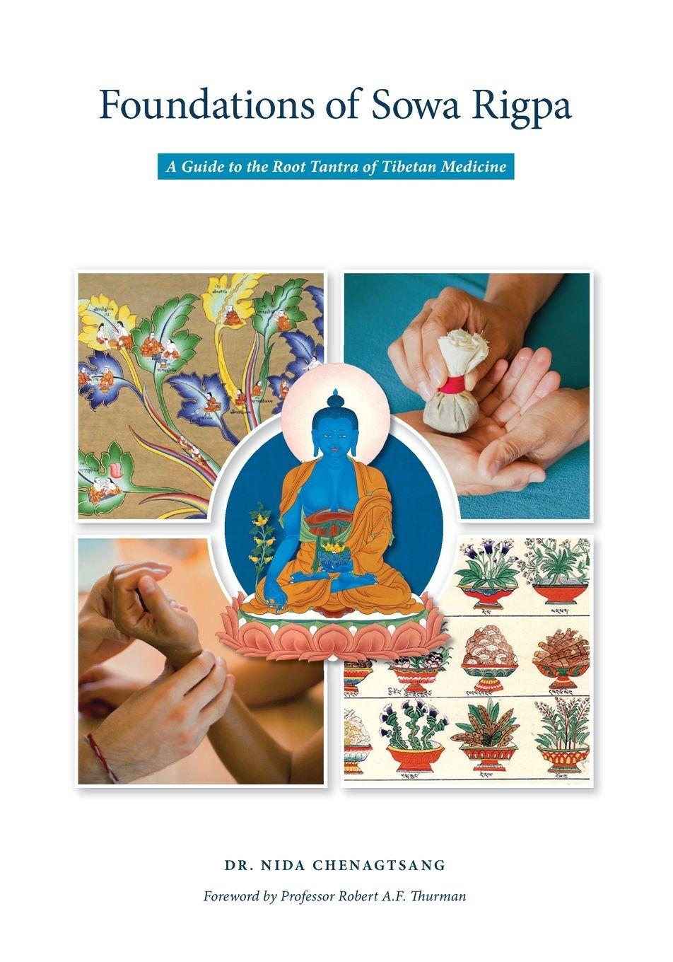 Vorderes Coverbild Foundations of Sowa Rigpa