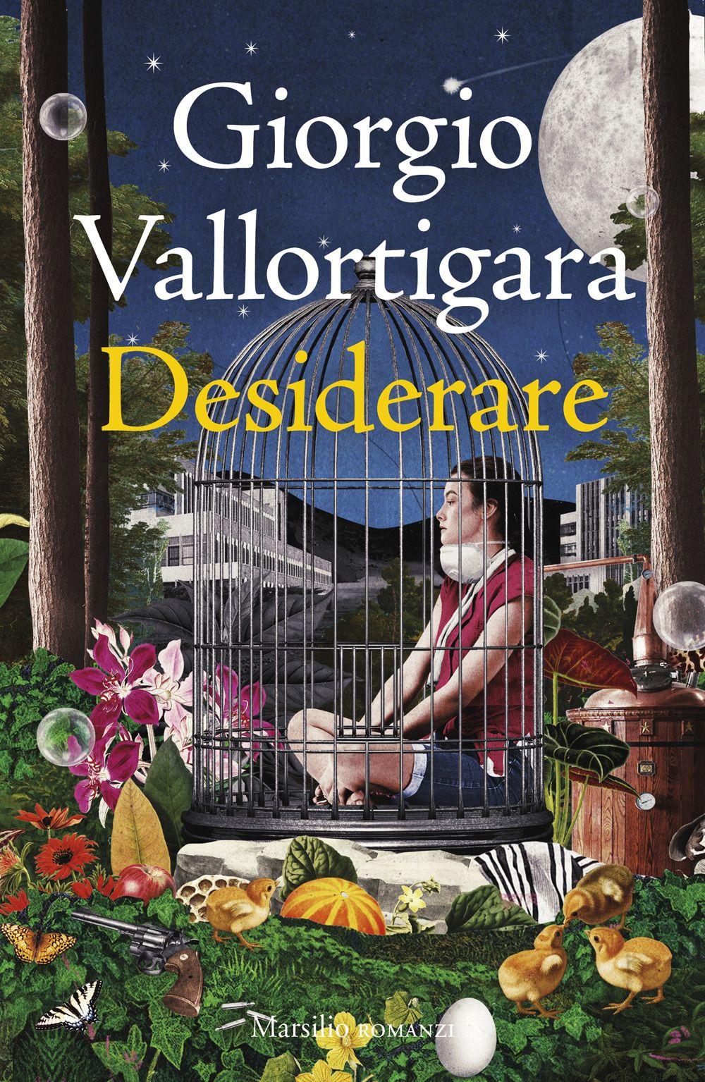 Vorderes Coverbild Desiderare