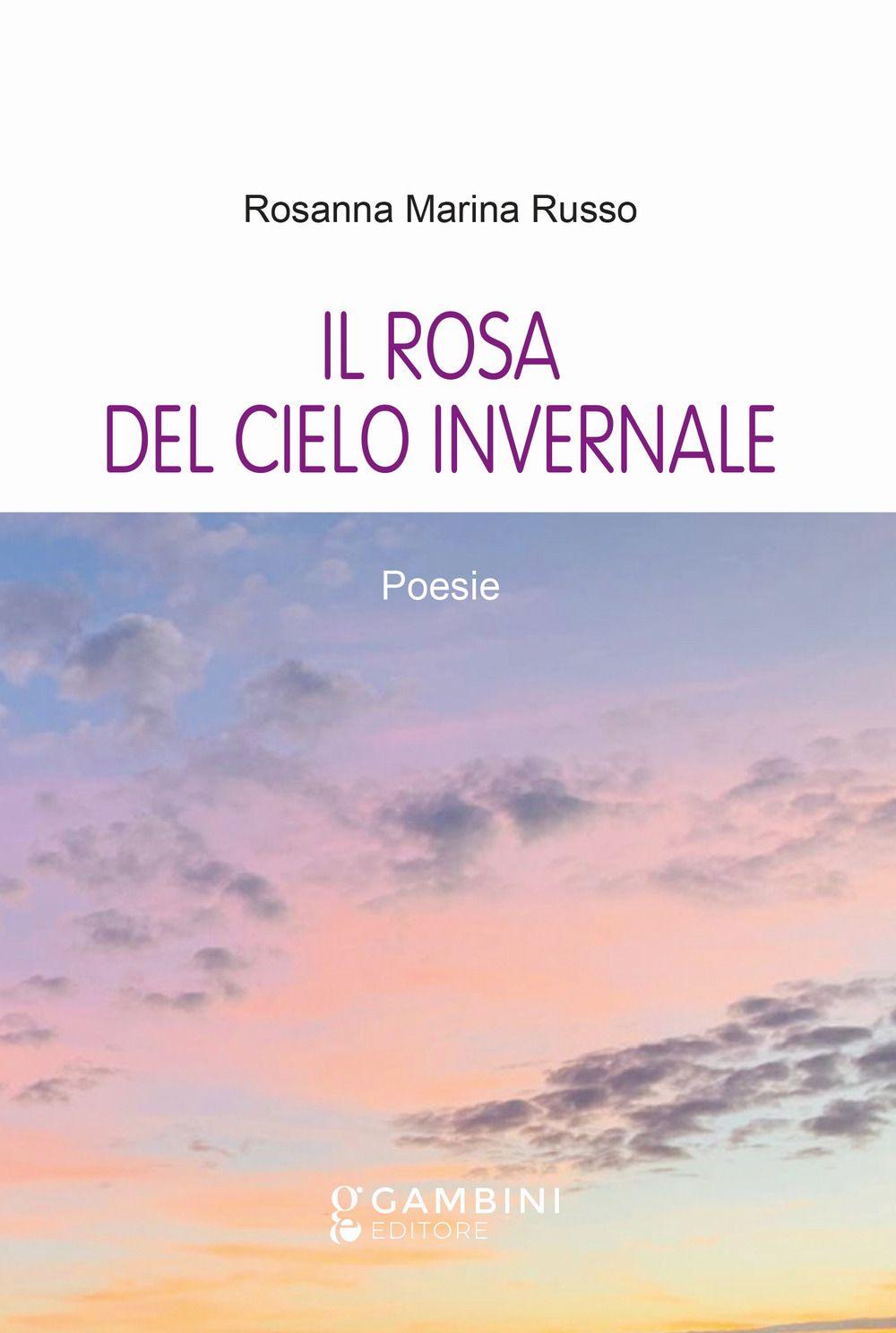 Vorderes Coverbild Il rosa del cielo invernale