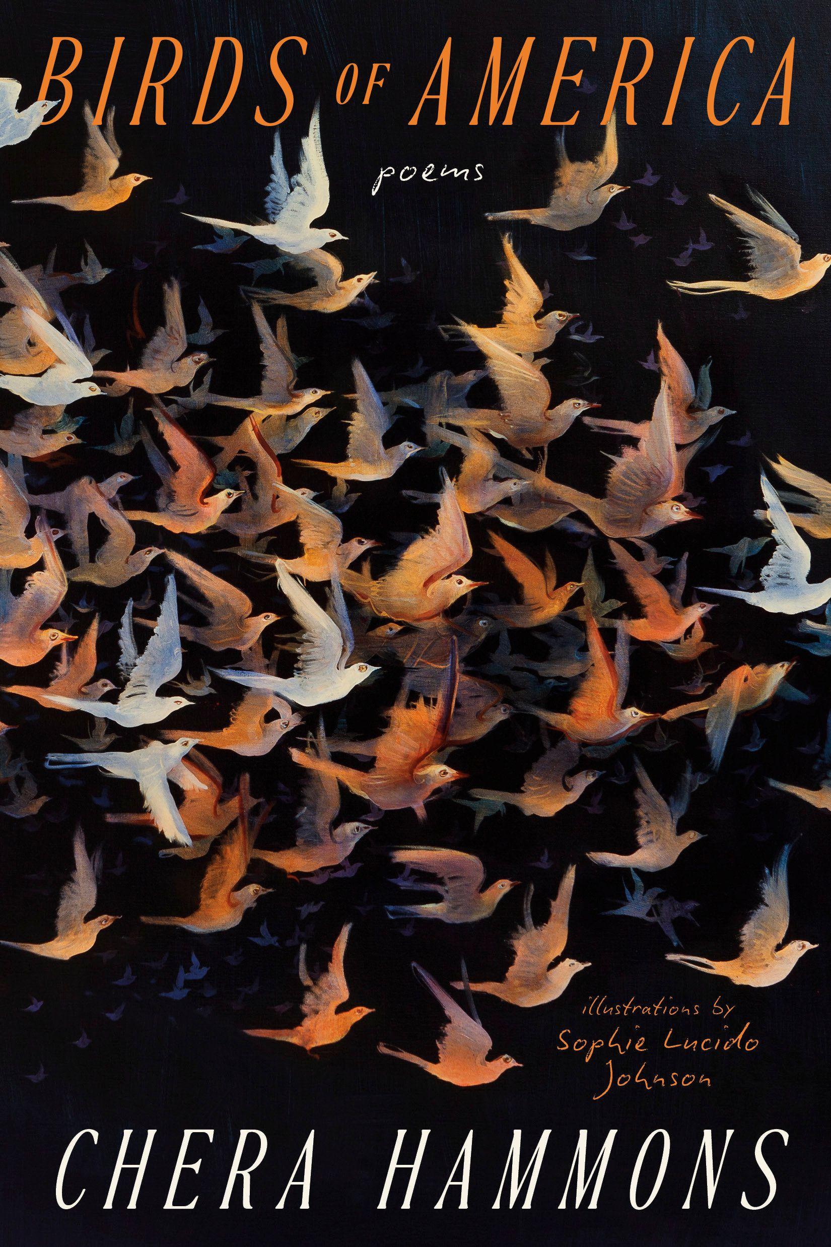 Vorderes Coverbild Birds of America