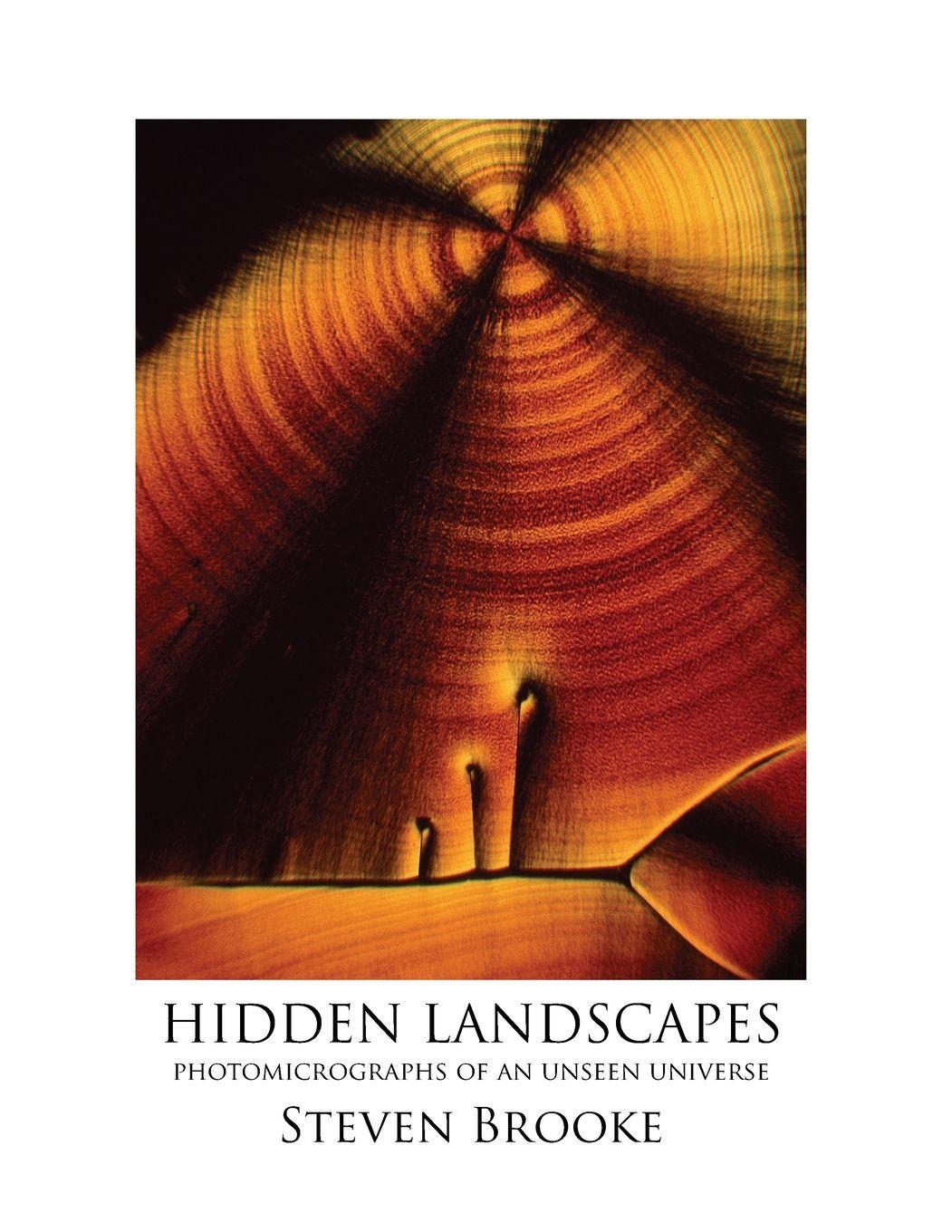 Vorderes Coverbild Hidden Landscapes