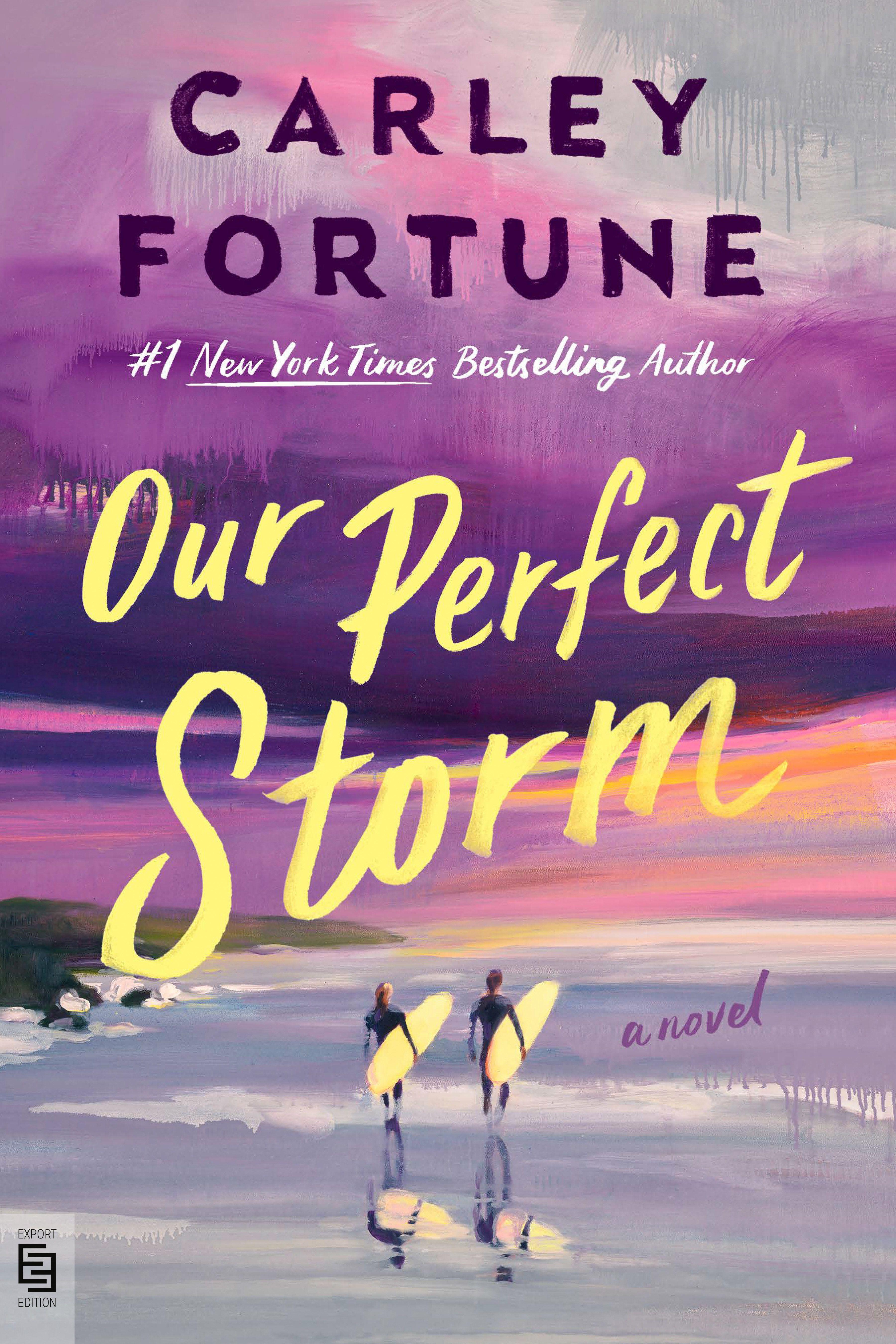 Vorderes Coverbild Our Perfect Storm