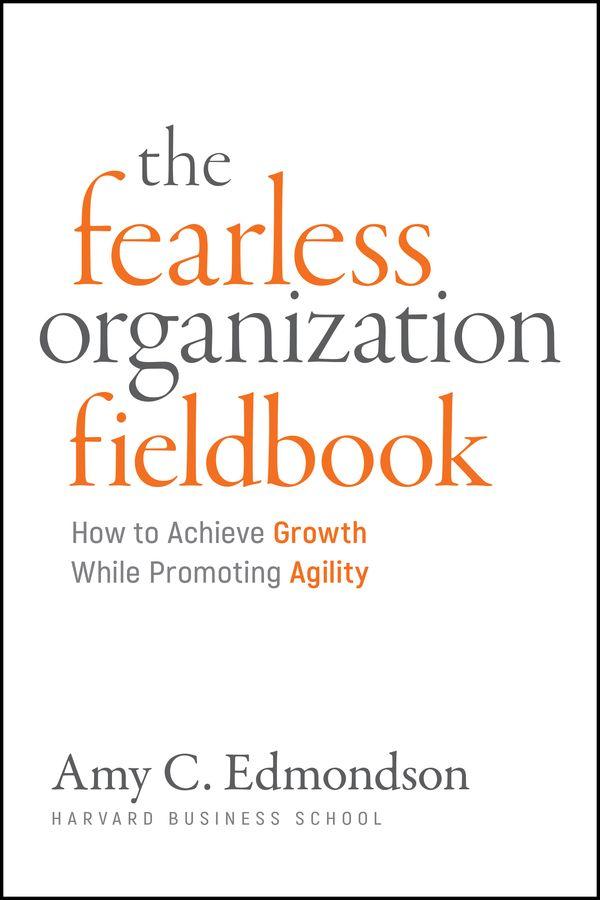 Vorderes Coverbild Fearless Organization Field Book