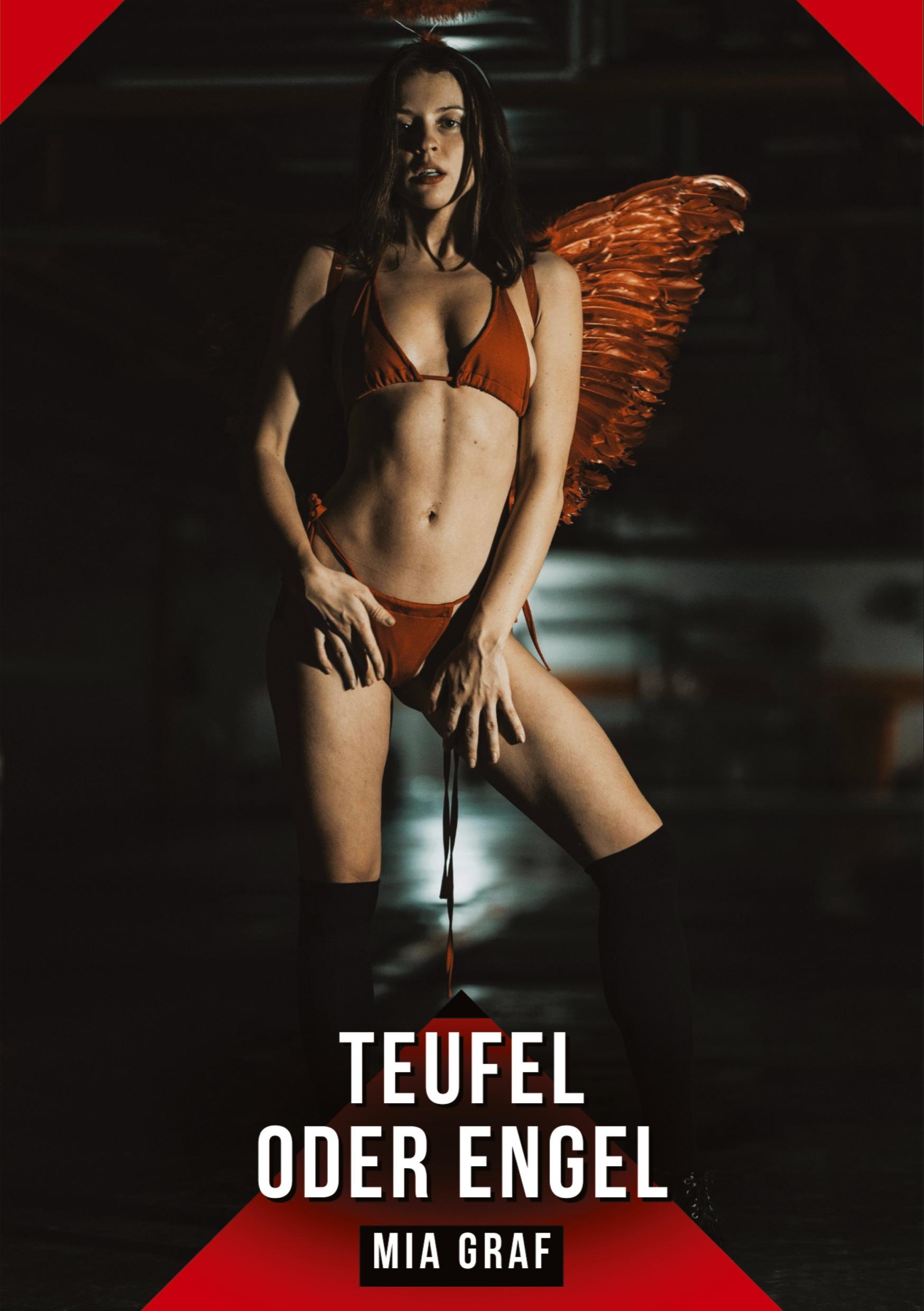 Vorderes Coverbild Teufel oder Engel