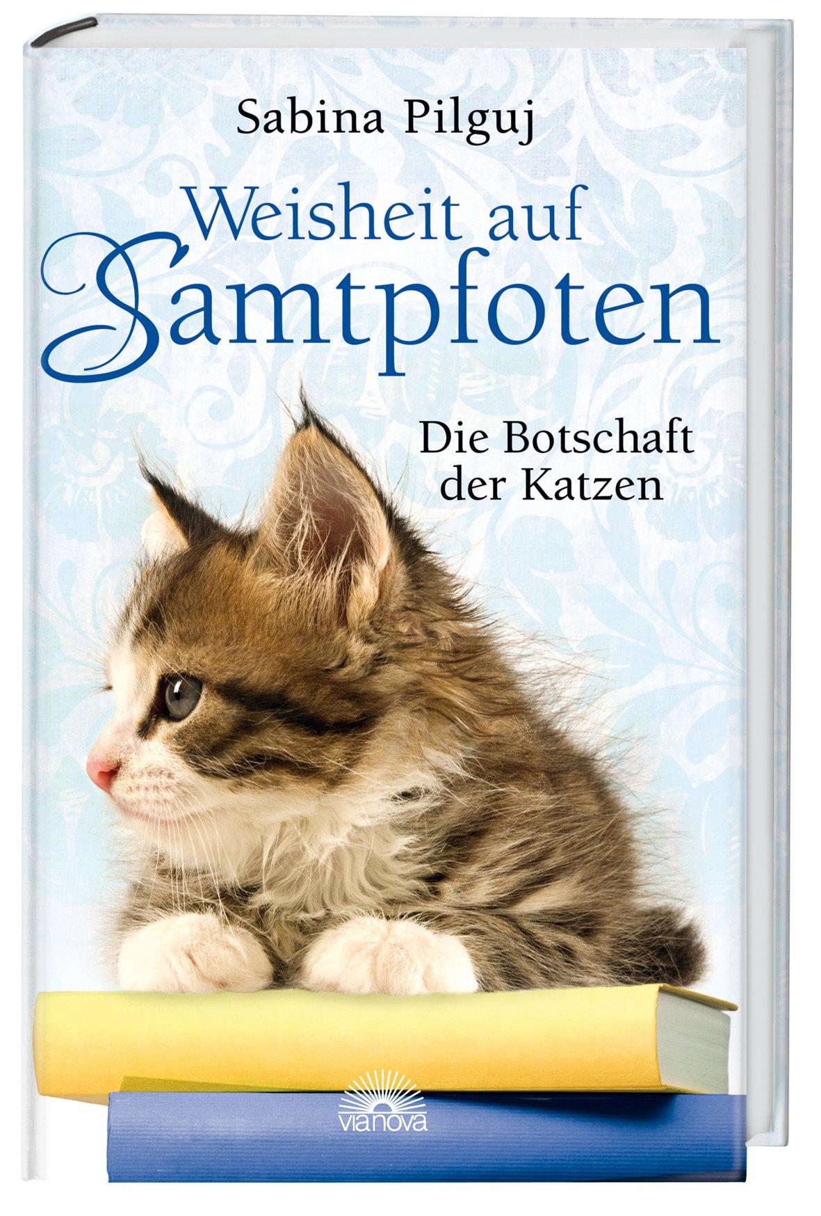 Vorderes Coverbild Weisheit auf Samtpfoten