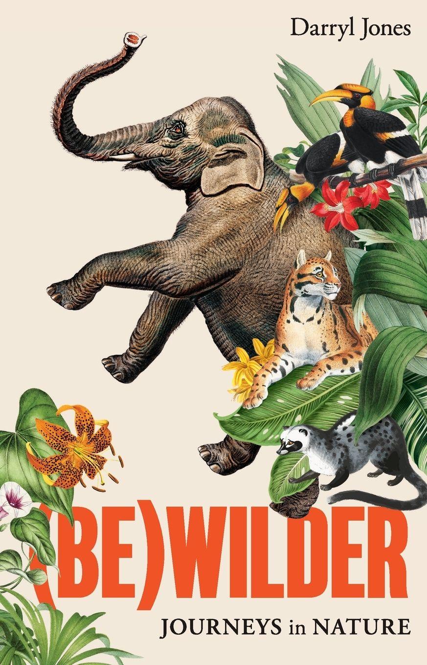 Vorderes Coverbild (Be)wilder