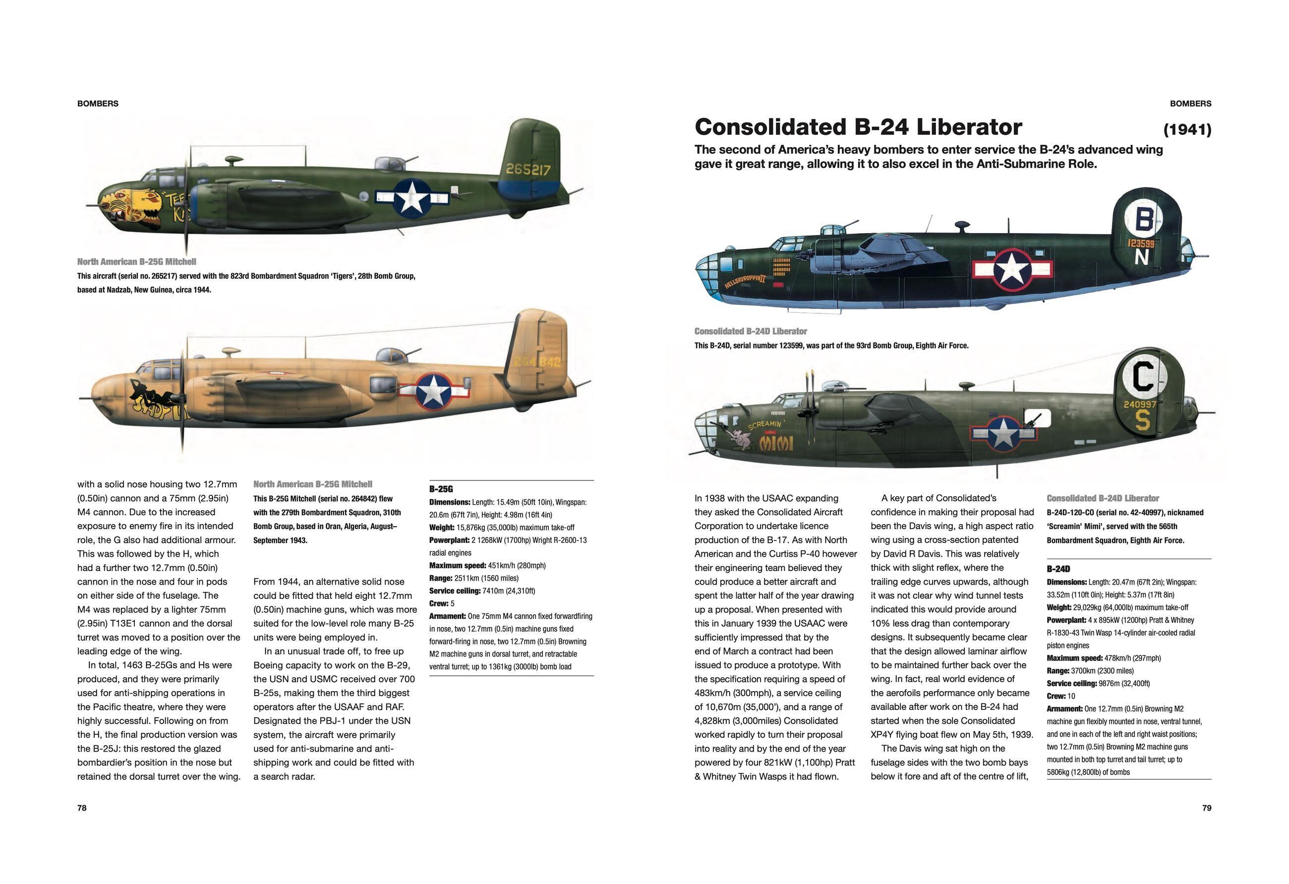 Beispielinhalt (Bild) World War II Military Aircraft