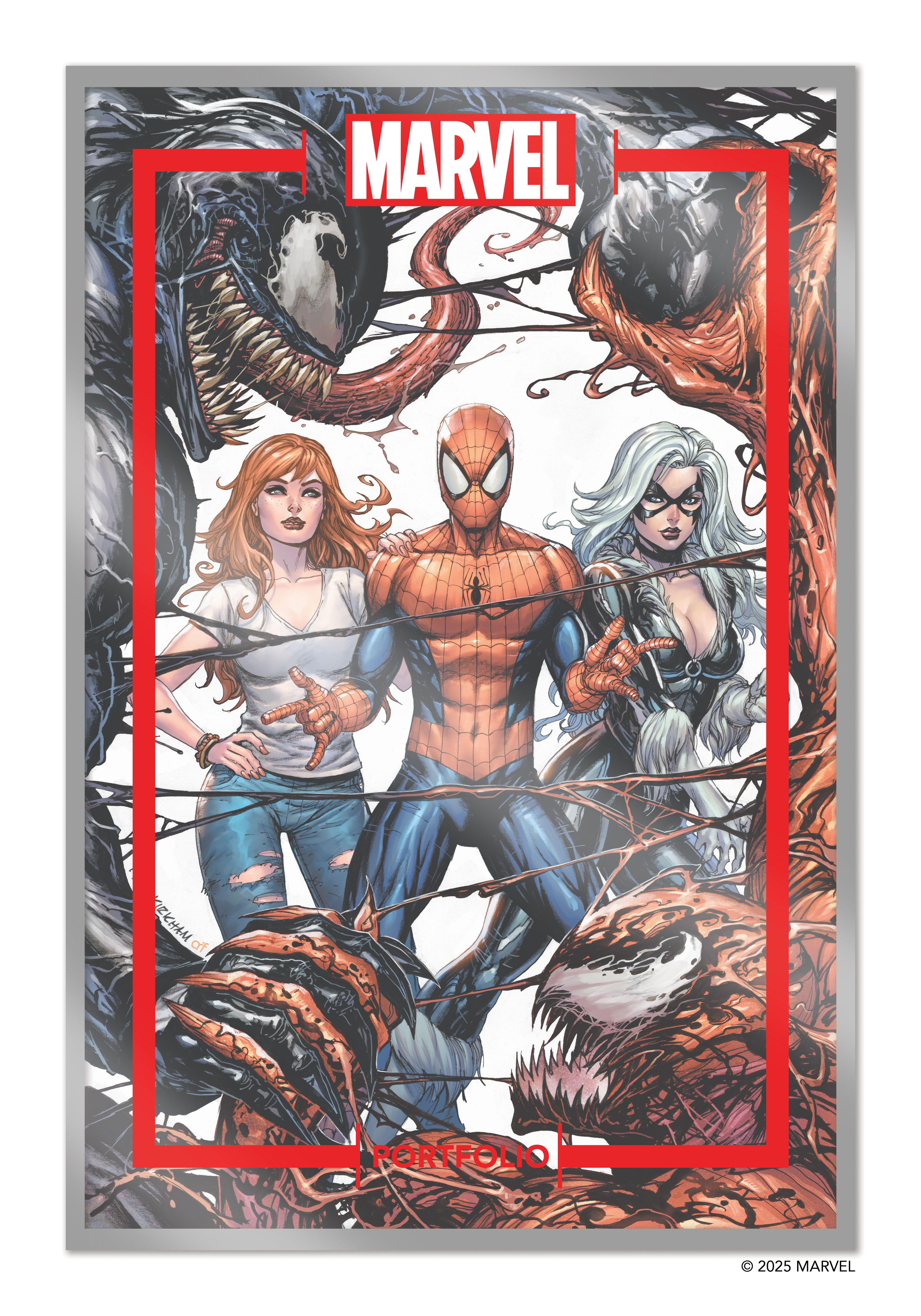 Vorderes Coverbild The Marvel Portfolio of Tyler Kirkham -- Spider-Man