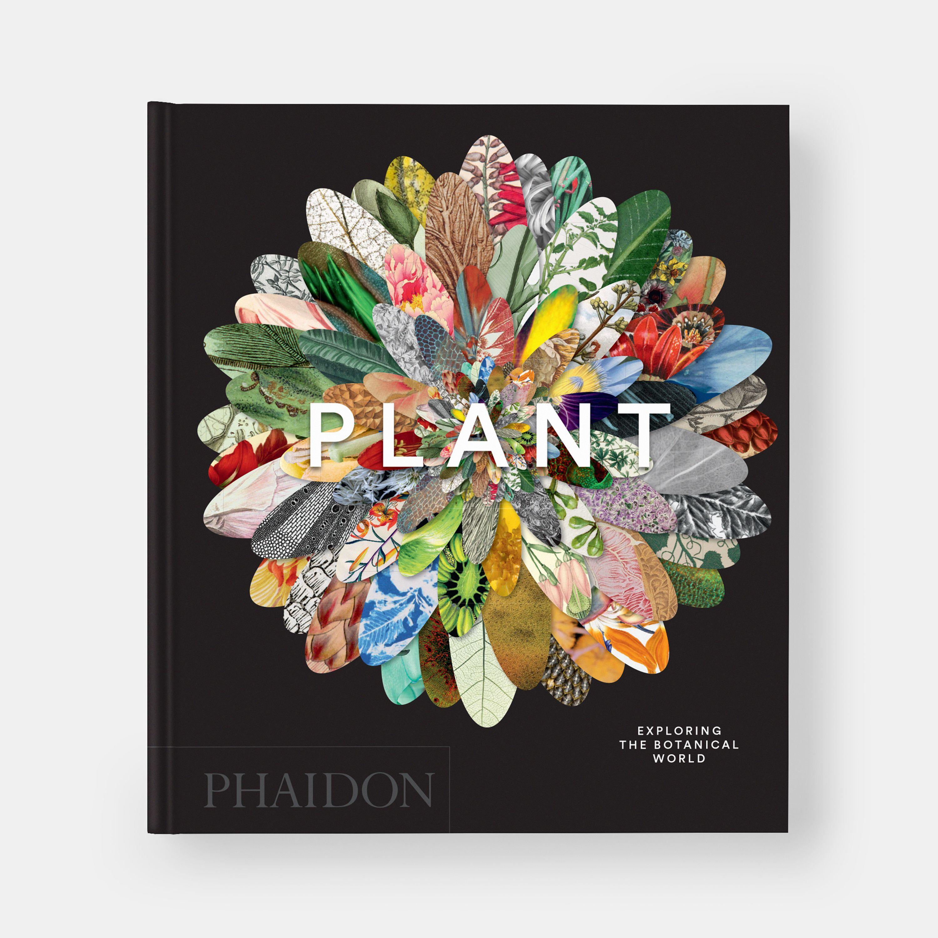 Beispielinhalt (Bild) Plant