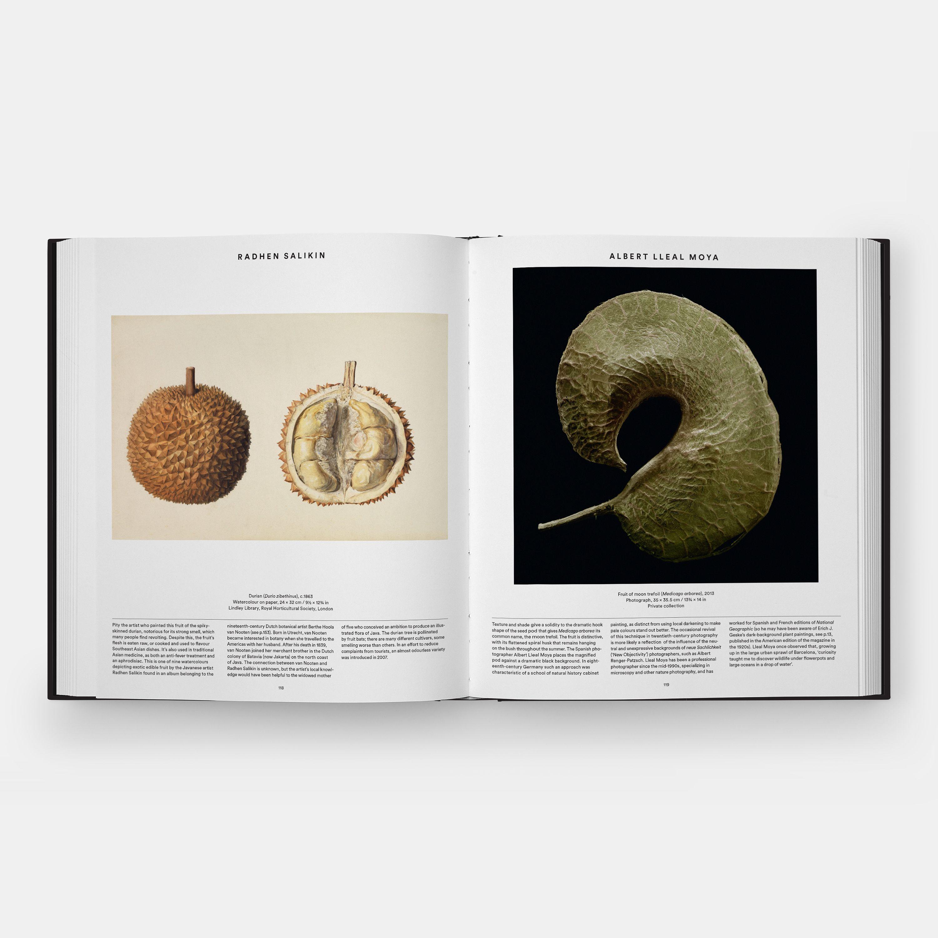 Beispielinhalt (Bild) Plant