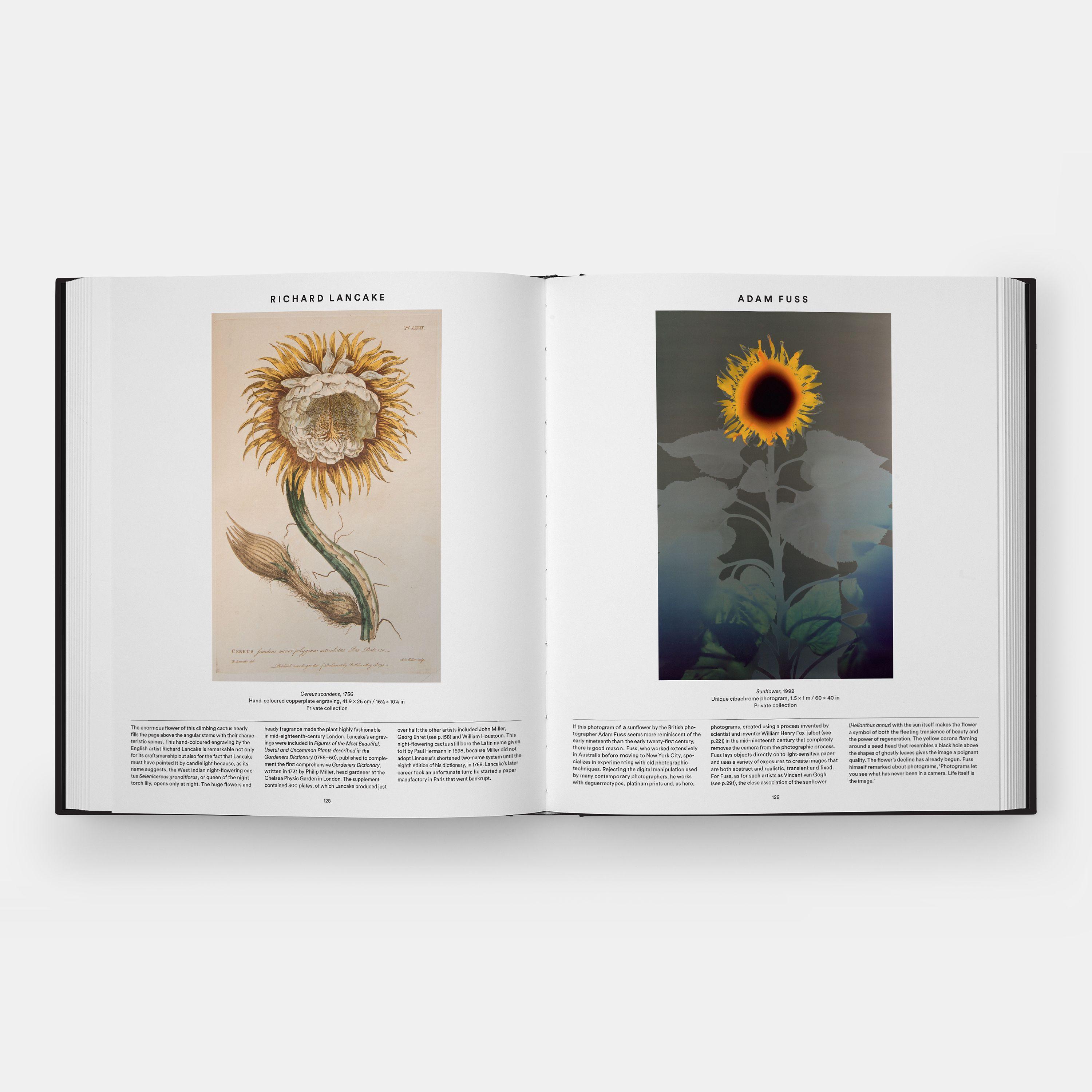 Beispielinhalt (Bild) Plant